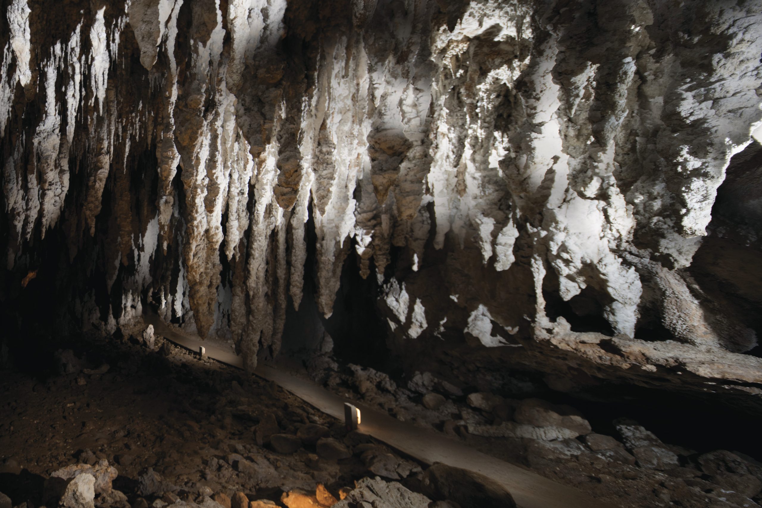 North Glory Cave, Yarrangobilly Caves, Kosciuszko National Park. Photo credit: Murray Vanderveer/DPIE