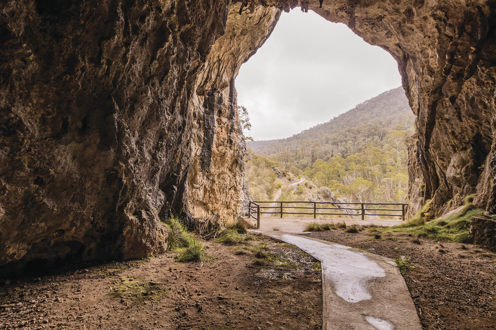 North Glory Cave entrance, Yarrangobilly Caves, Koscisuzko National Park. Photo credit: Murray Vanderveer/DPIE