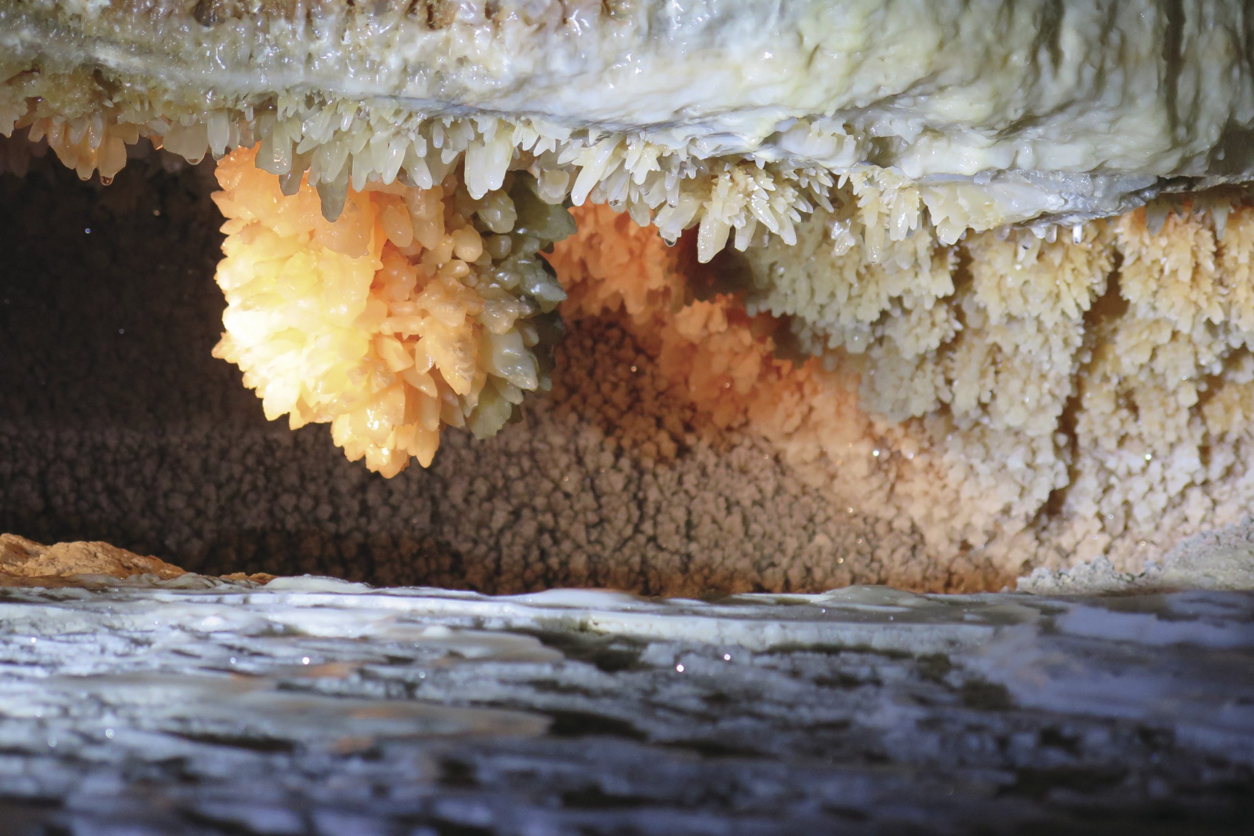Jersey Cave, Yarrangobilly Caves, Kosciuszko National Park. Photo: Elinor Sheargold/DPIE