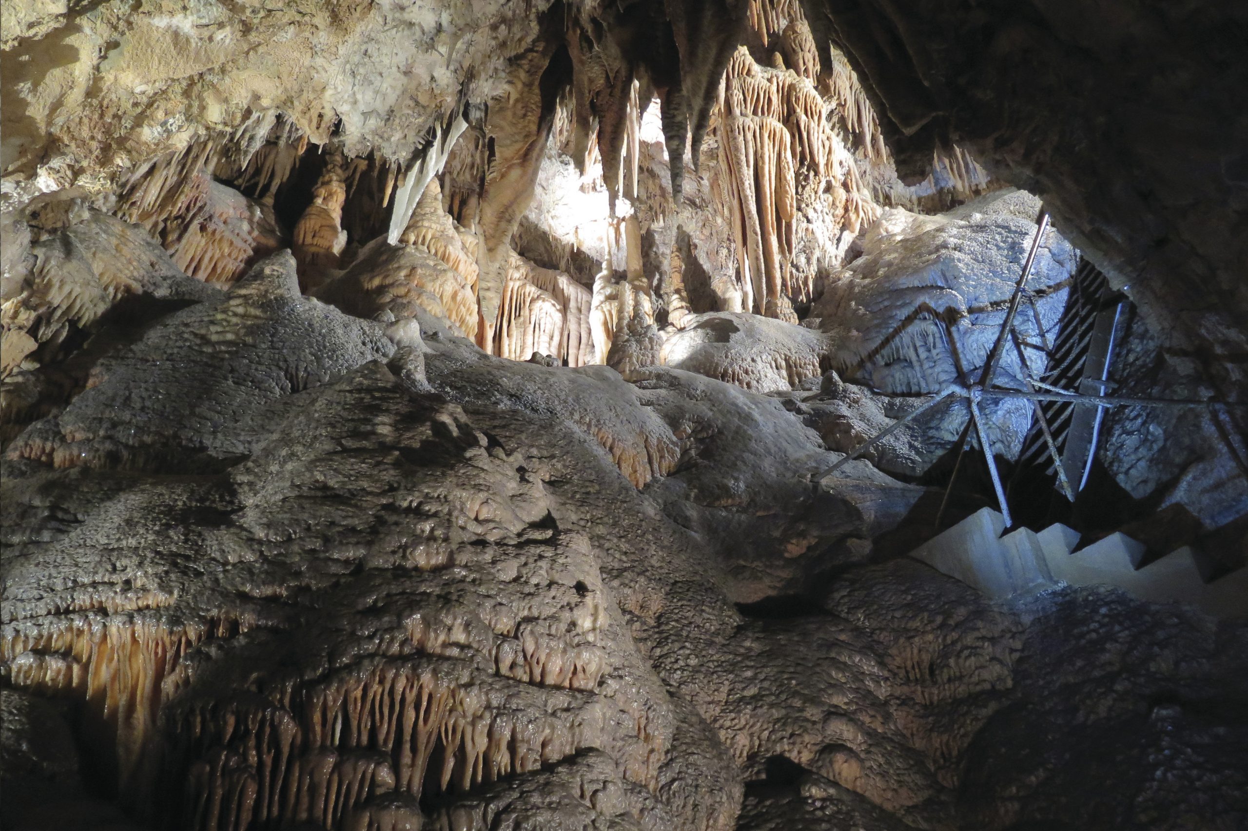 Jersey Cave, Yarrangobilly Caves, Kosciuszko National Park. Photo: Elinor Sheargold/DPIE