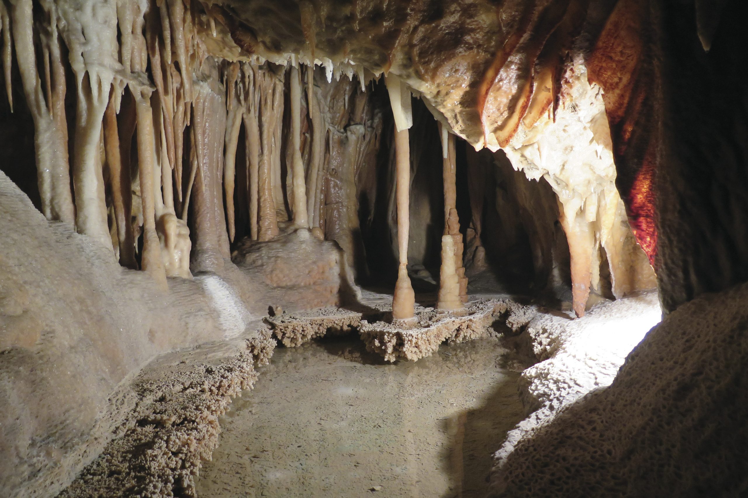 Jillabenan Cave, Yarrangobilly Caves, Kosciuszko National Park. Photo: Elinor Sheargold/DPIE