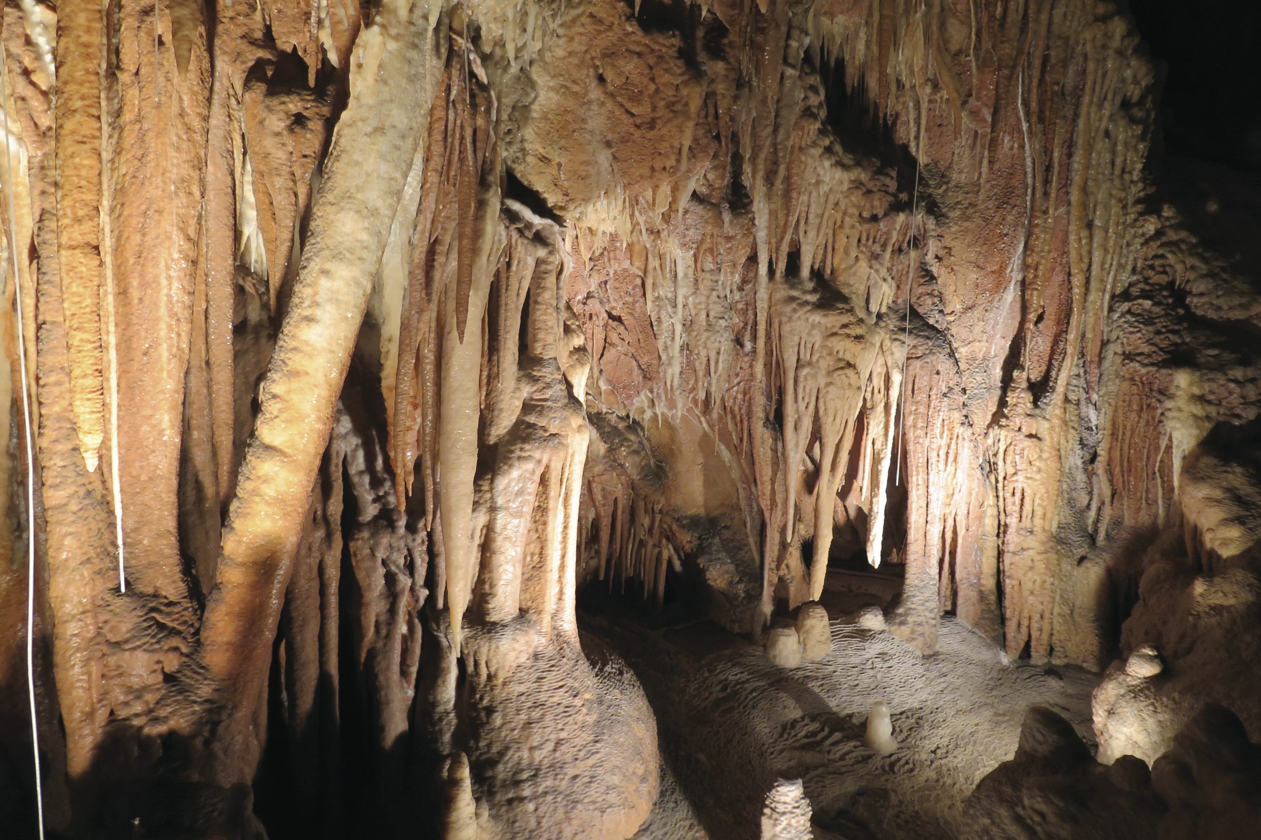Jillabenan Cave, Yarrangobilly Caves, Kosciuszko National Park. Photo: Elinor Sheargold/DPIE