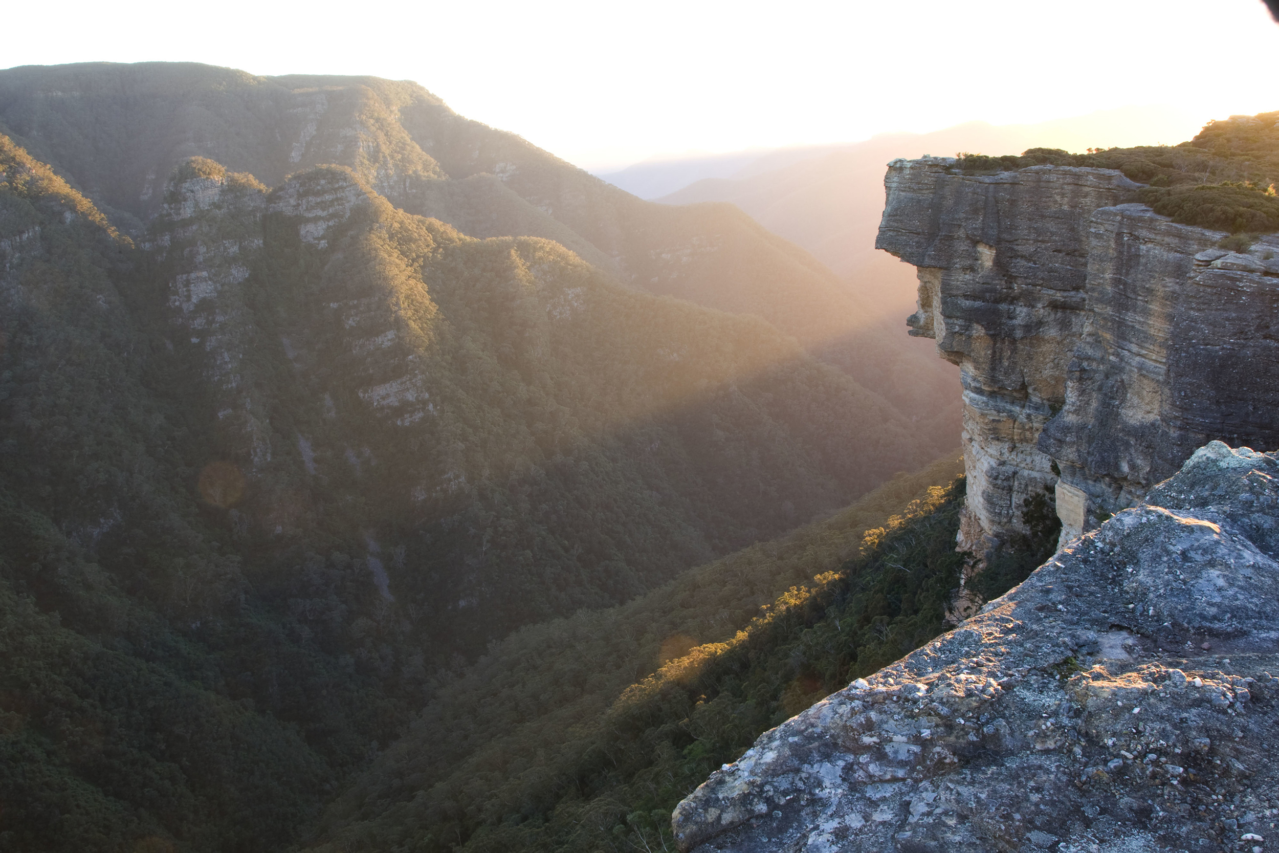 Kanangra Boyd National Park. Photo Credit : Botanic Gardens Trust/Simone Cottrell