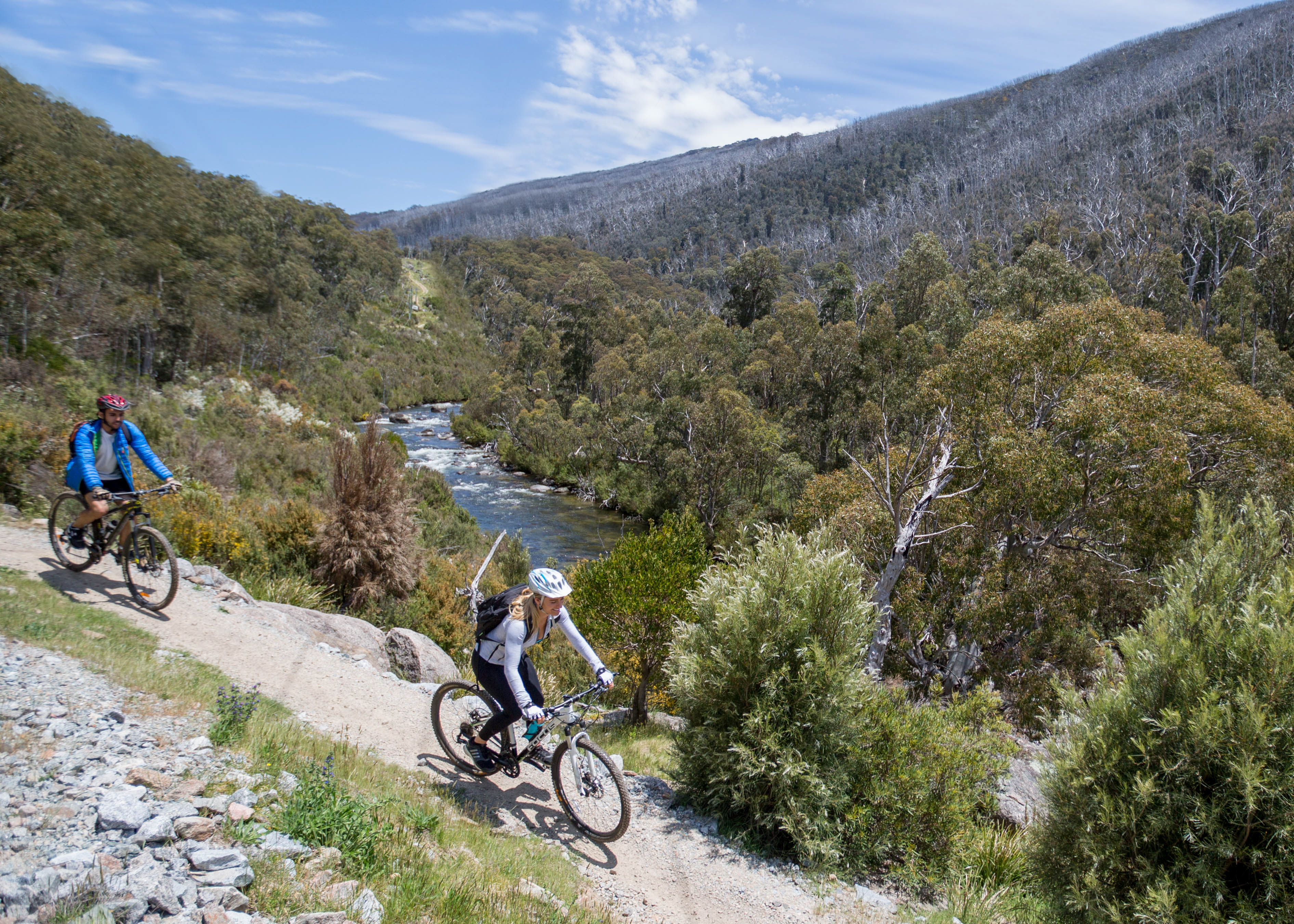 People mountain biking on the Thredbo Valley track in Kosciuszko National Park. Photo credit: Boen Ferguson/DPIE