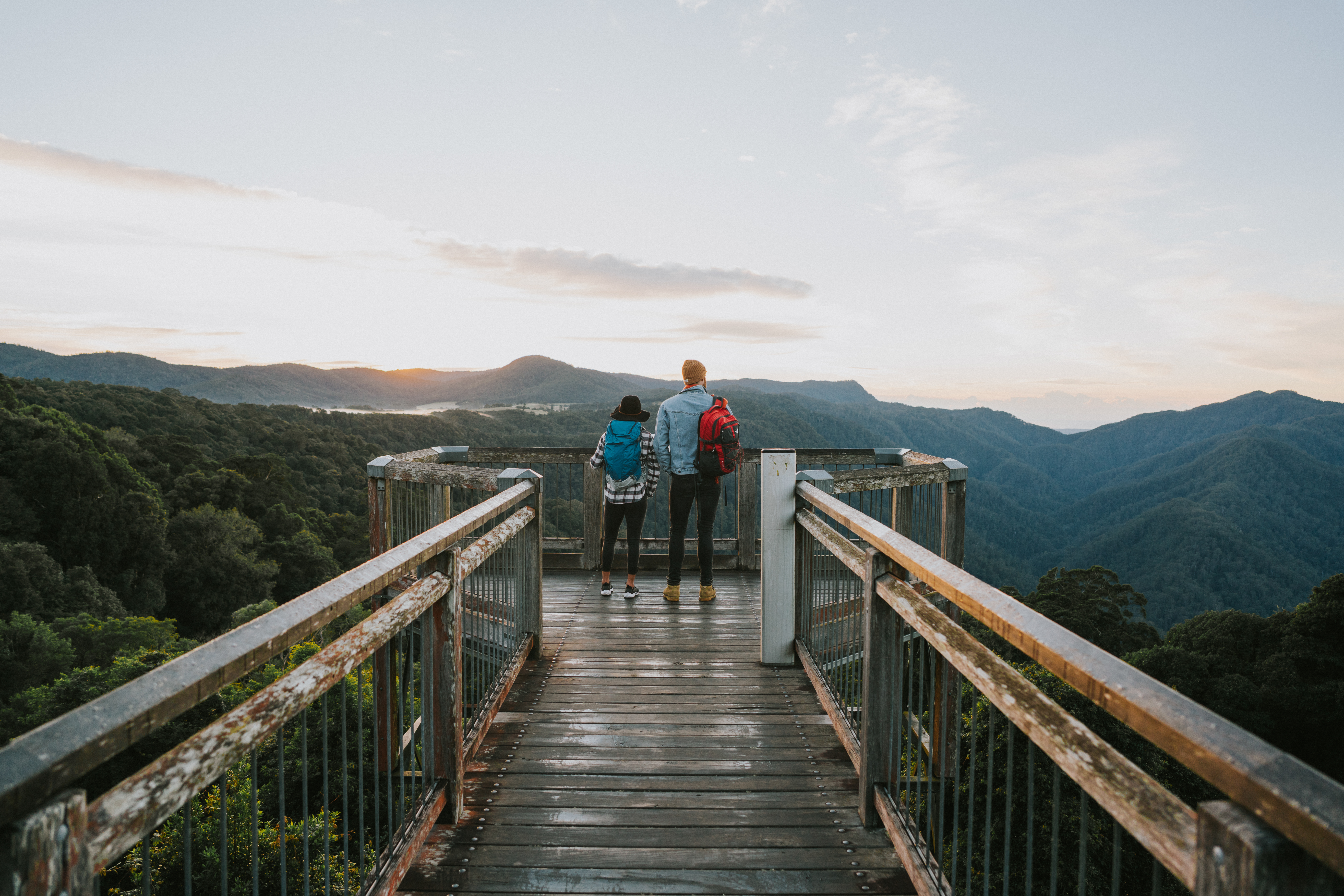 Skywalk lookout in Dorrigo National Park. Photo credit: Branden Bodman/DPIE