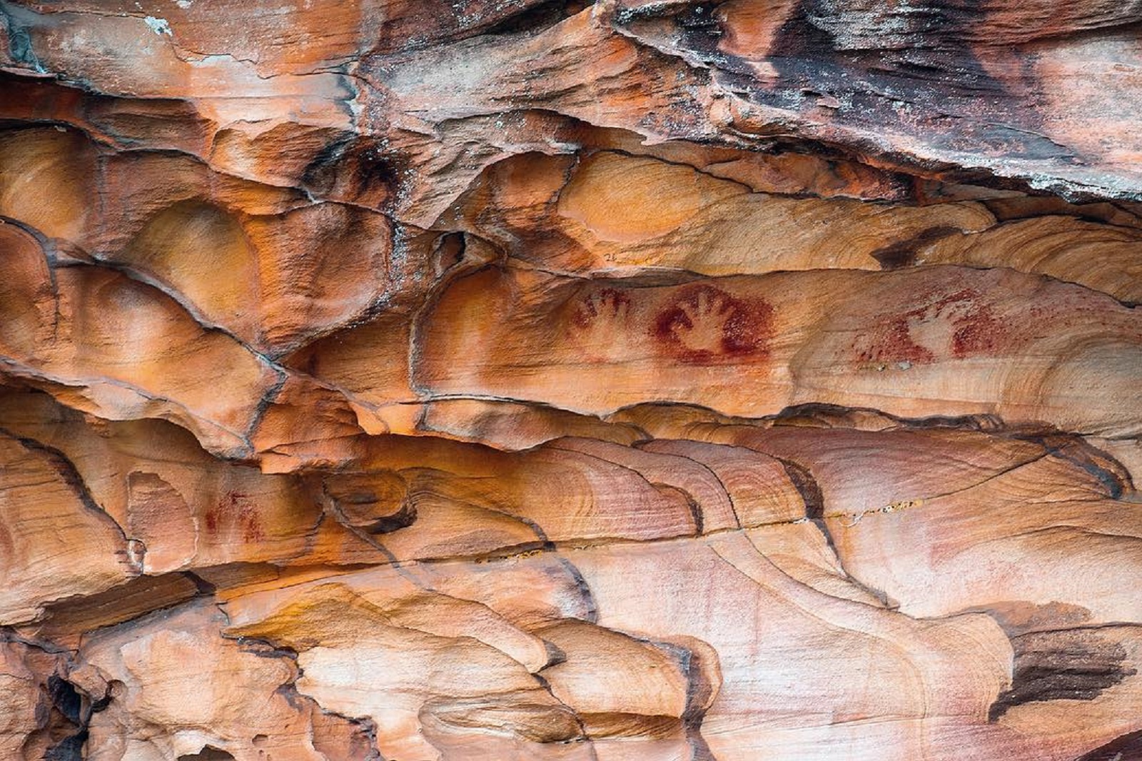 Aboriginal Heritage walk, Ku-ring-gai Chase National Park