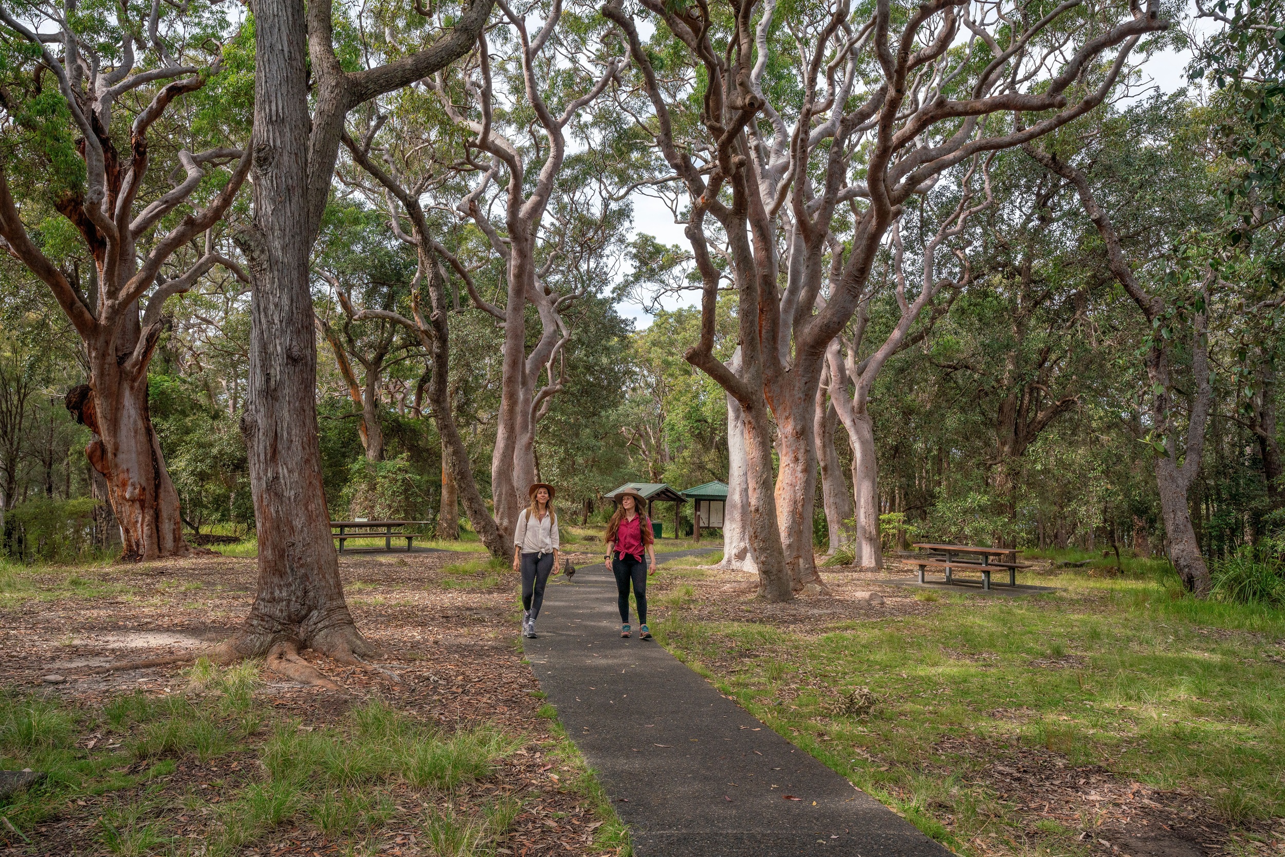 Walkers on the track in Resolute picnic area. Credit: John Spencer &copy; DCCEEW