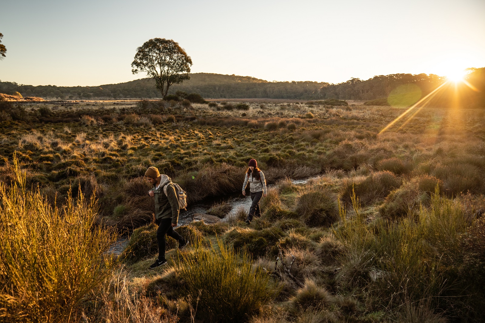 Hiking through Junction Pools campground in Barrington Tops National Park. Photo credit: Rob Mulally/DPIE