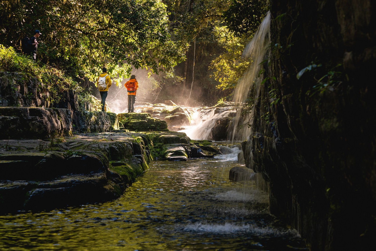 Hikers along Rocky Crossing walk in Barrington Tops National Park. Photo credit: Rob Mulally/DPIE