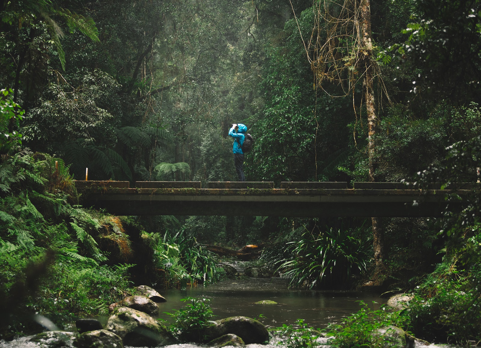 Six national parks that feel like you're in a Hollywood movie