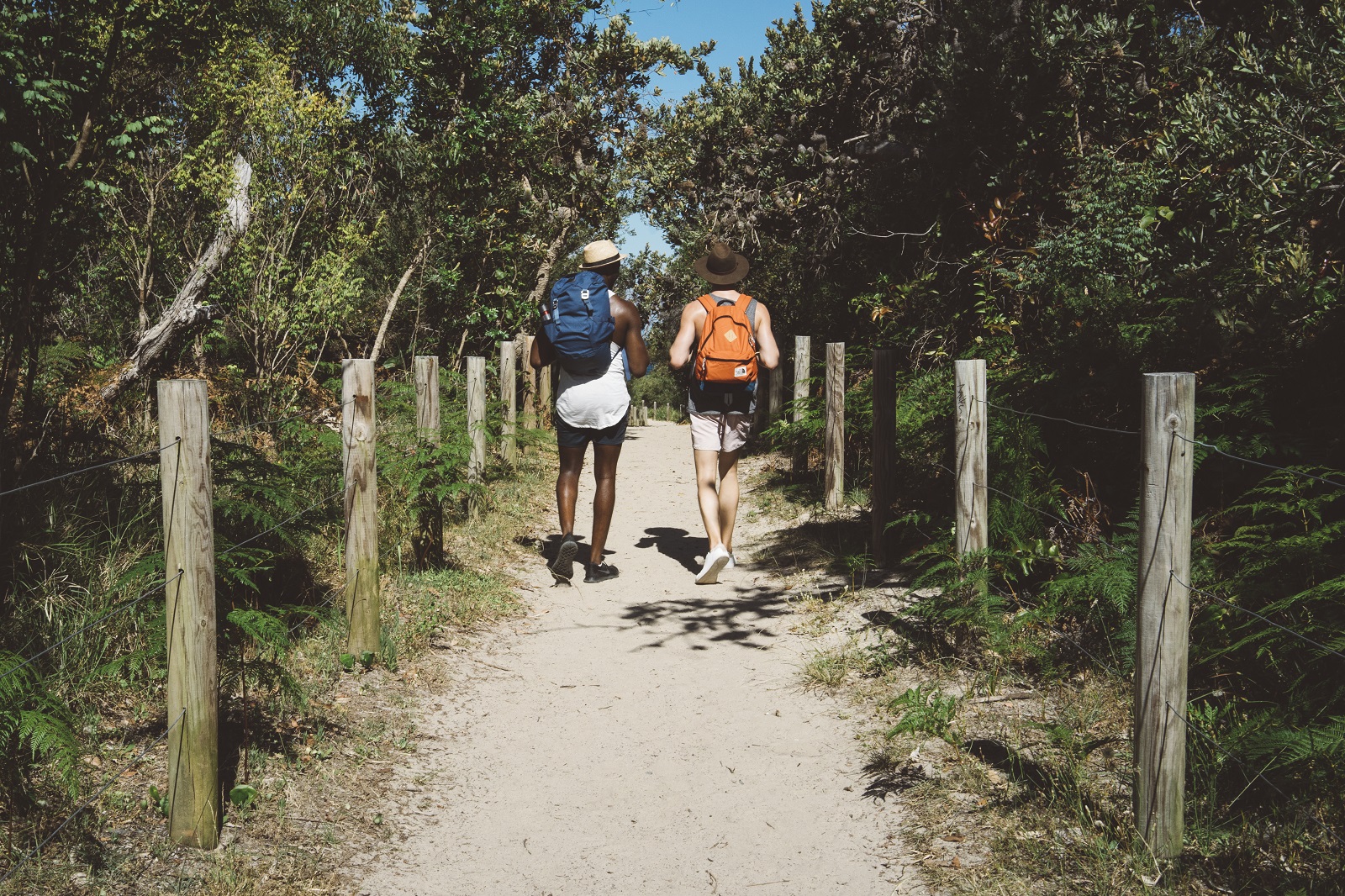Coast to cafe: The best coastal walks for foodies