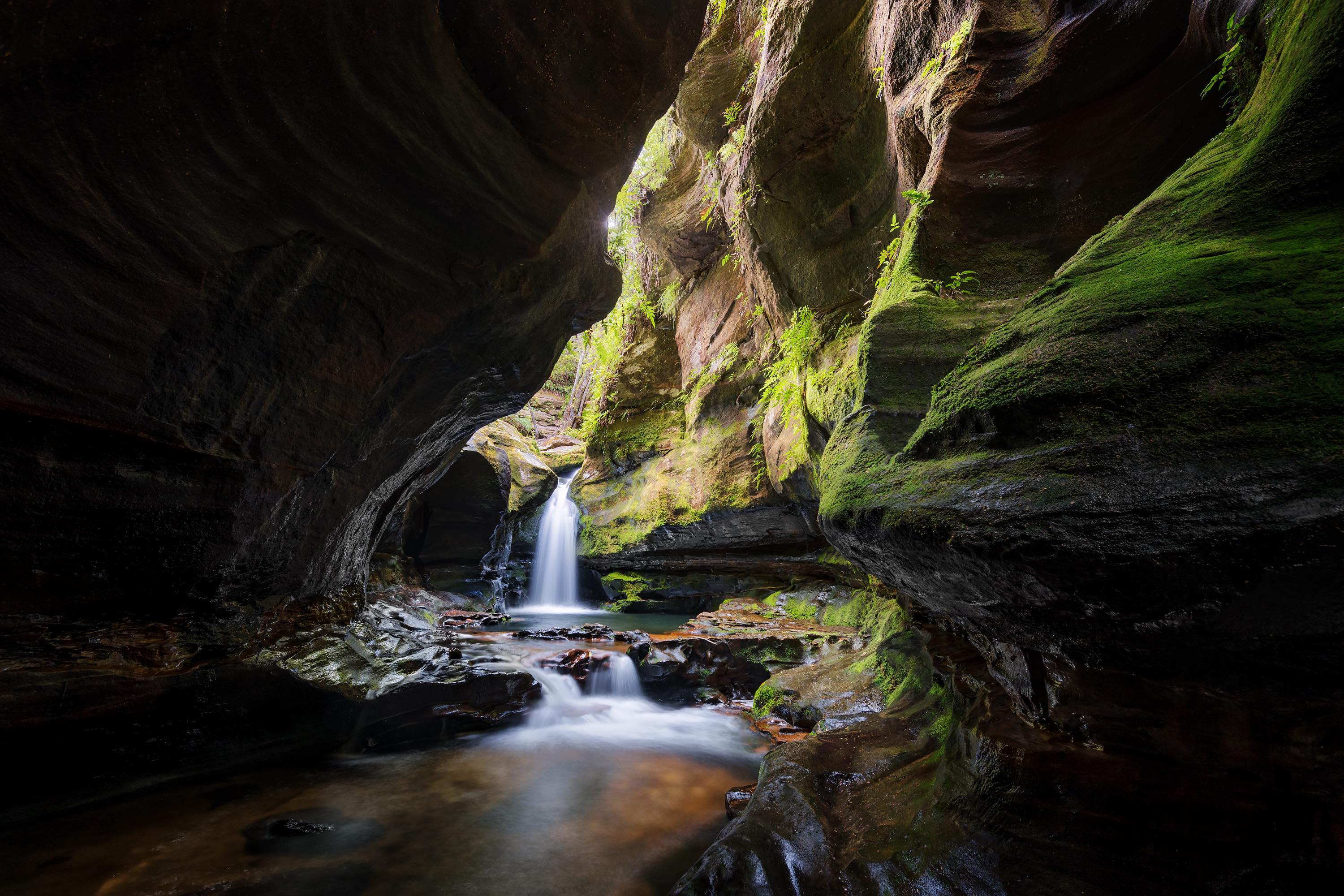 Rocky Creek canyon, Wollemi National Park. Photo: Jake Anderson