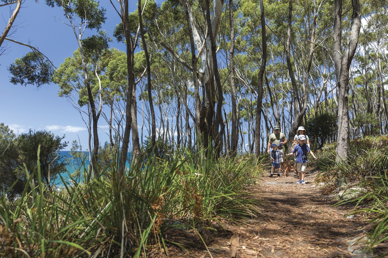 Five easy NSW national parks walks with kids