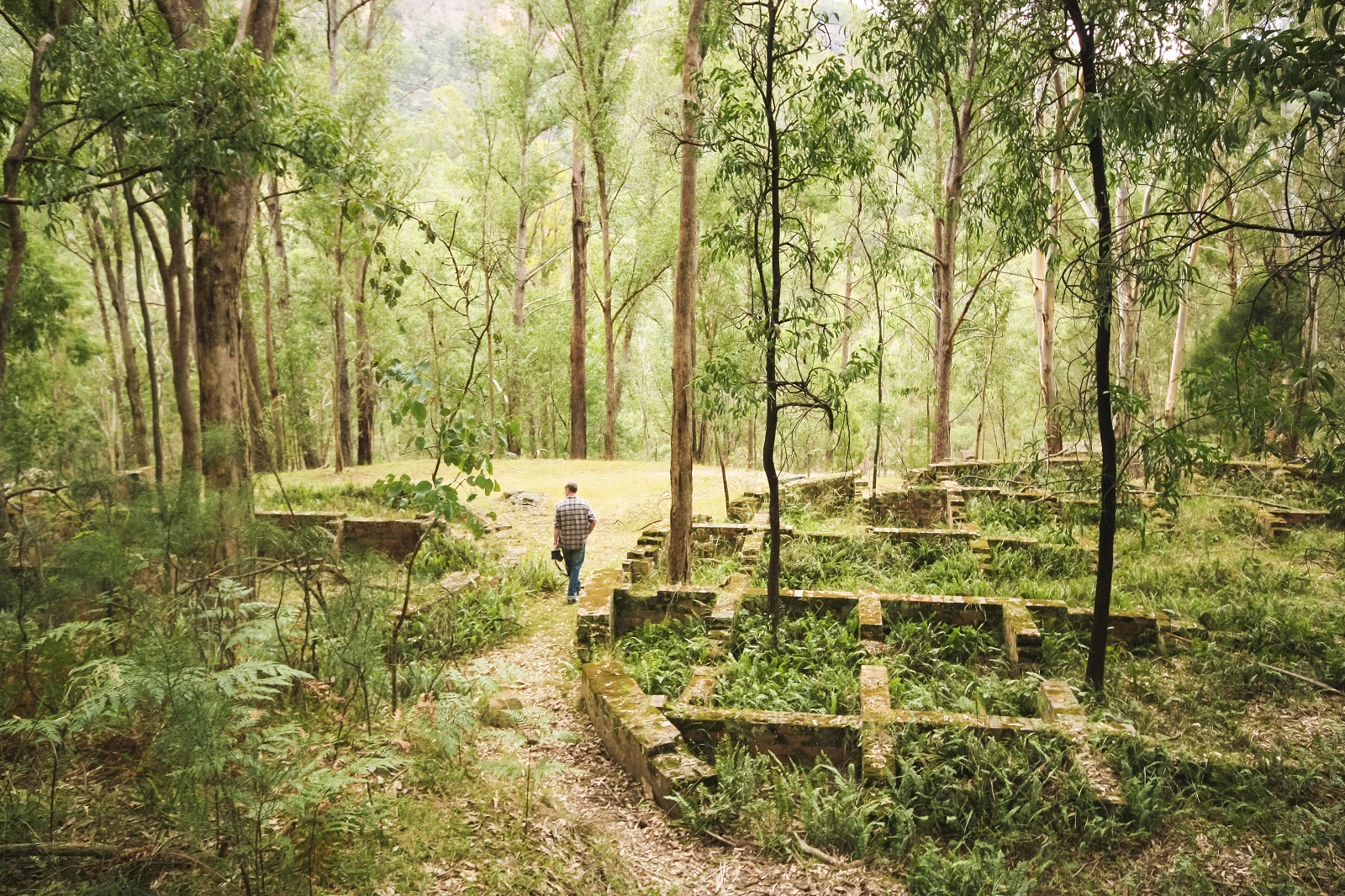Newnes Industrial Ruins walk in Wollemi National Park. Photo credit: Elinor Sheargold/DPIE