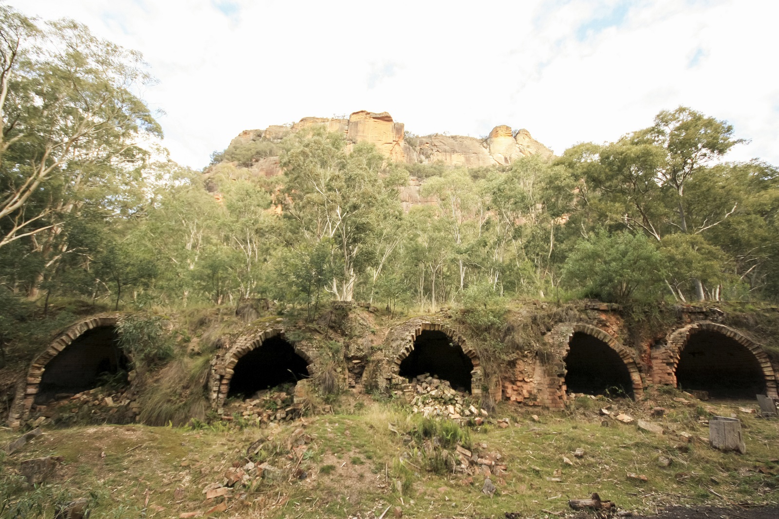Coke ovens and beehive kilns on Newnes Industrial Ruins walk, Wollemi National Park. Photo credit: Elinor Sheargold/DPIE