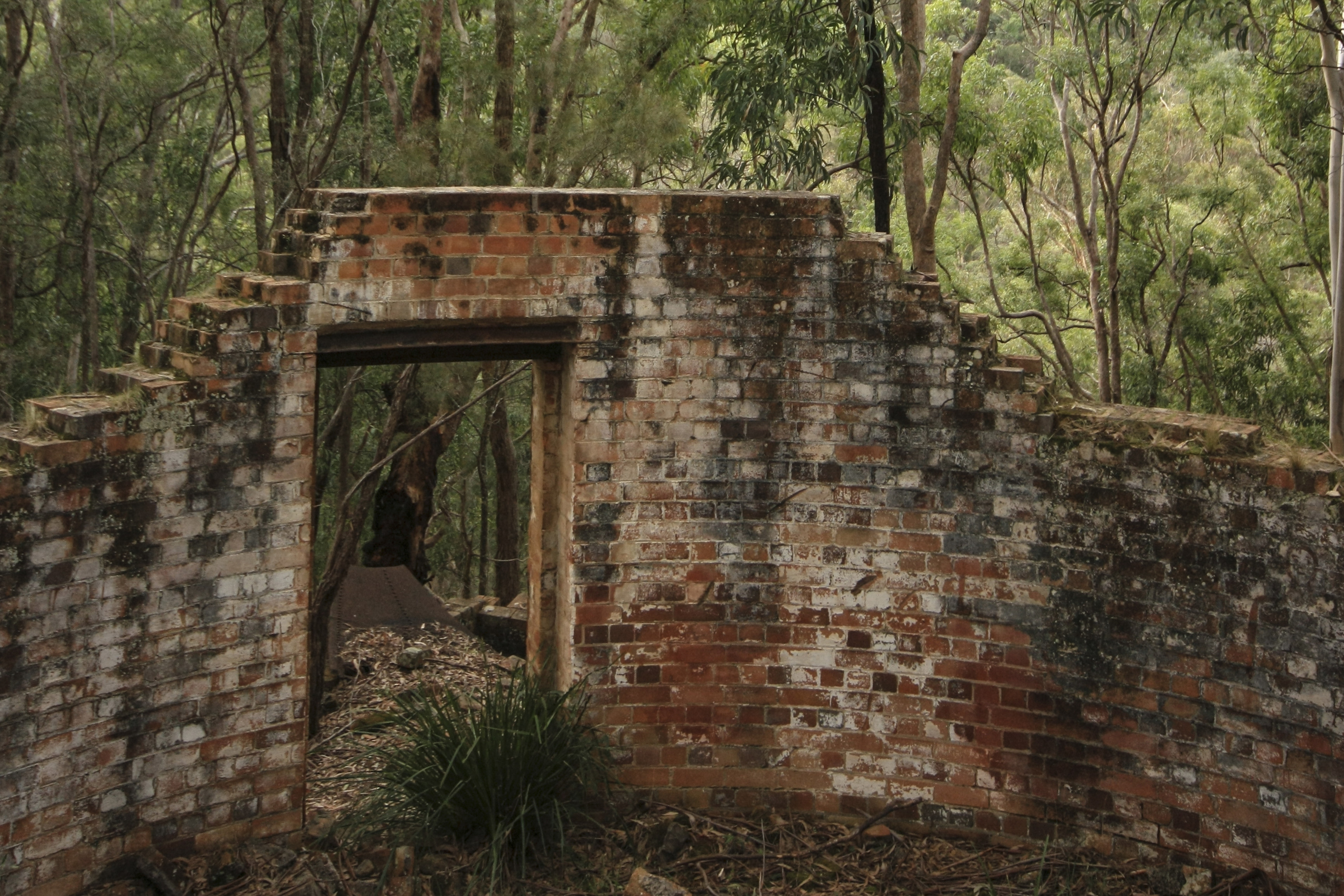 Newnes Industrial Ruins walk in Wollemi National Park. Photo credit: Elinor Sheargold/DPIE