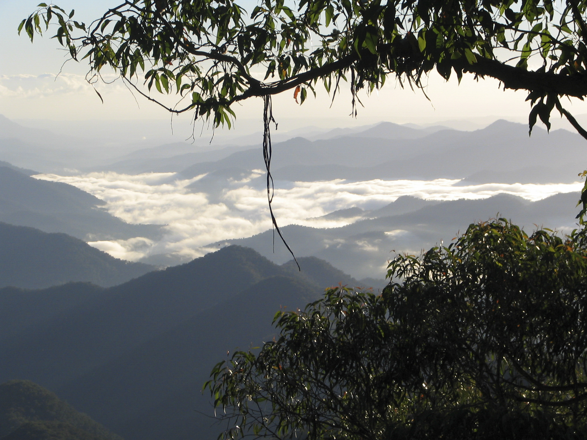 Eagles Nest Track, New England National Park. Photo credit: Barbara Webster / DPE