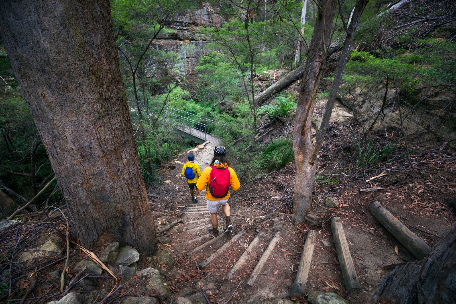 Two males on the Glow Worm Tunnel walking track in Wollemi National Park. Photo credit: Daniel Tran/DPIE