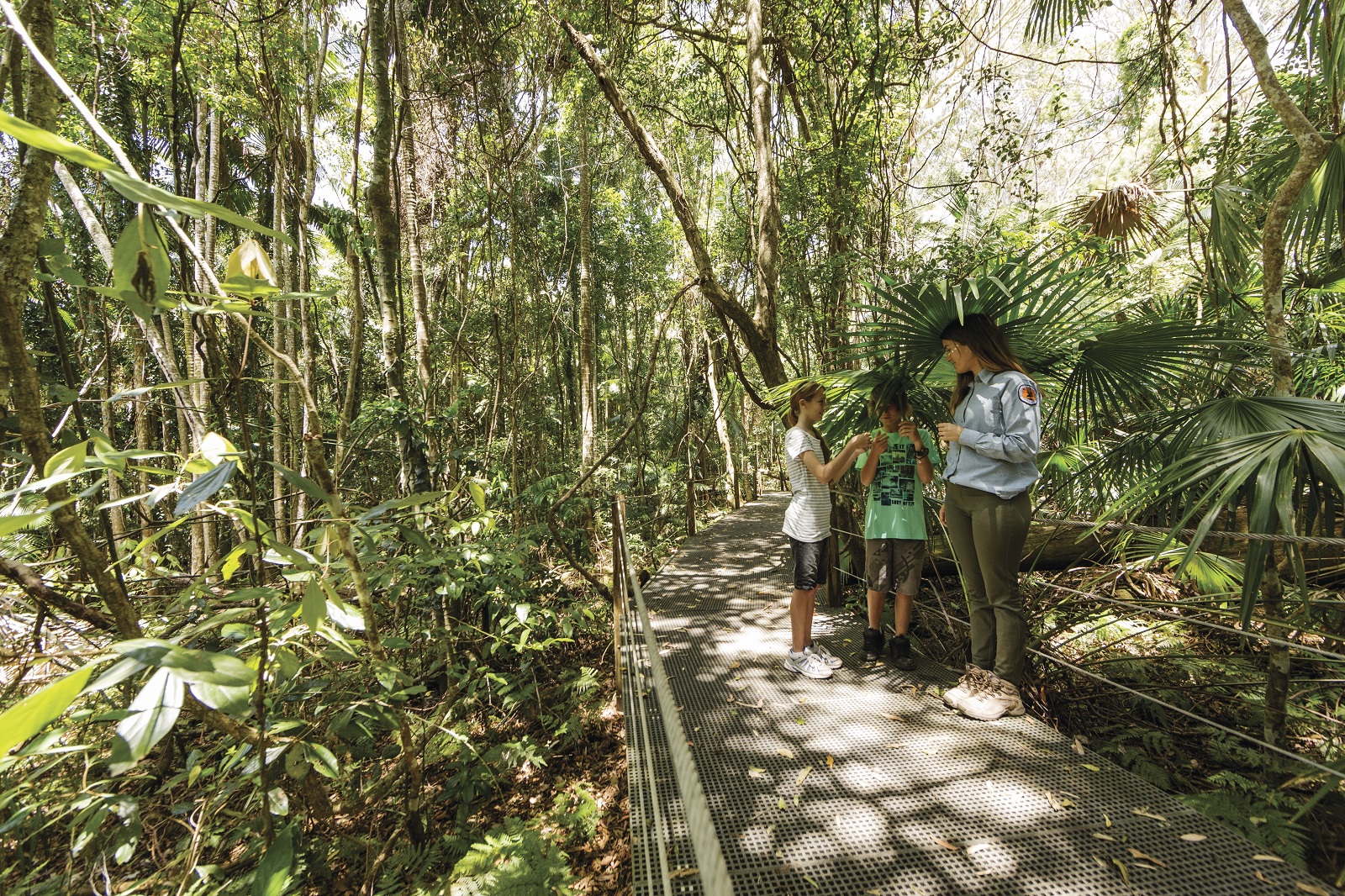 Family walking along boardwalk with ranger at Sea Acres Rainforest Centre, Sea Acres National Park. Photo credit: David Finnegan/DPIE