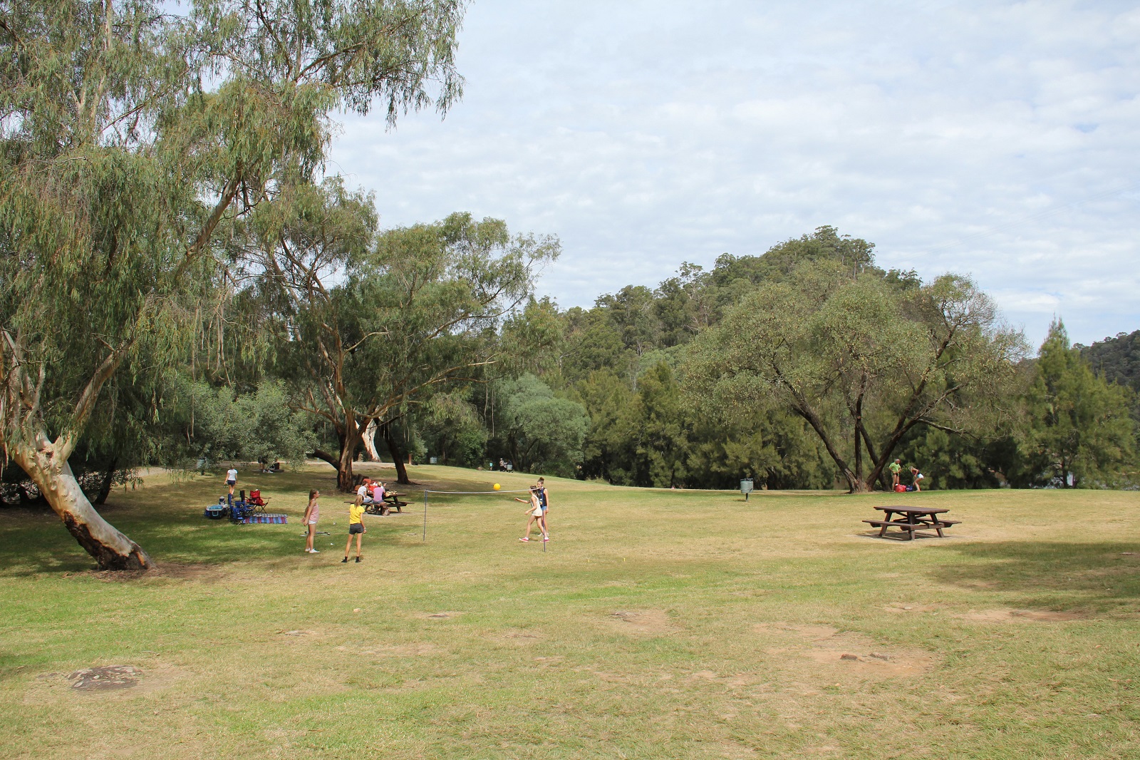 Bents Basin Road picnic area at Bents Basin State Conservation Area. Photo credit: John Yurasek/DCCEEW © DCCEEW