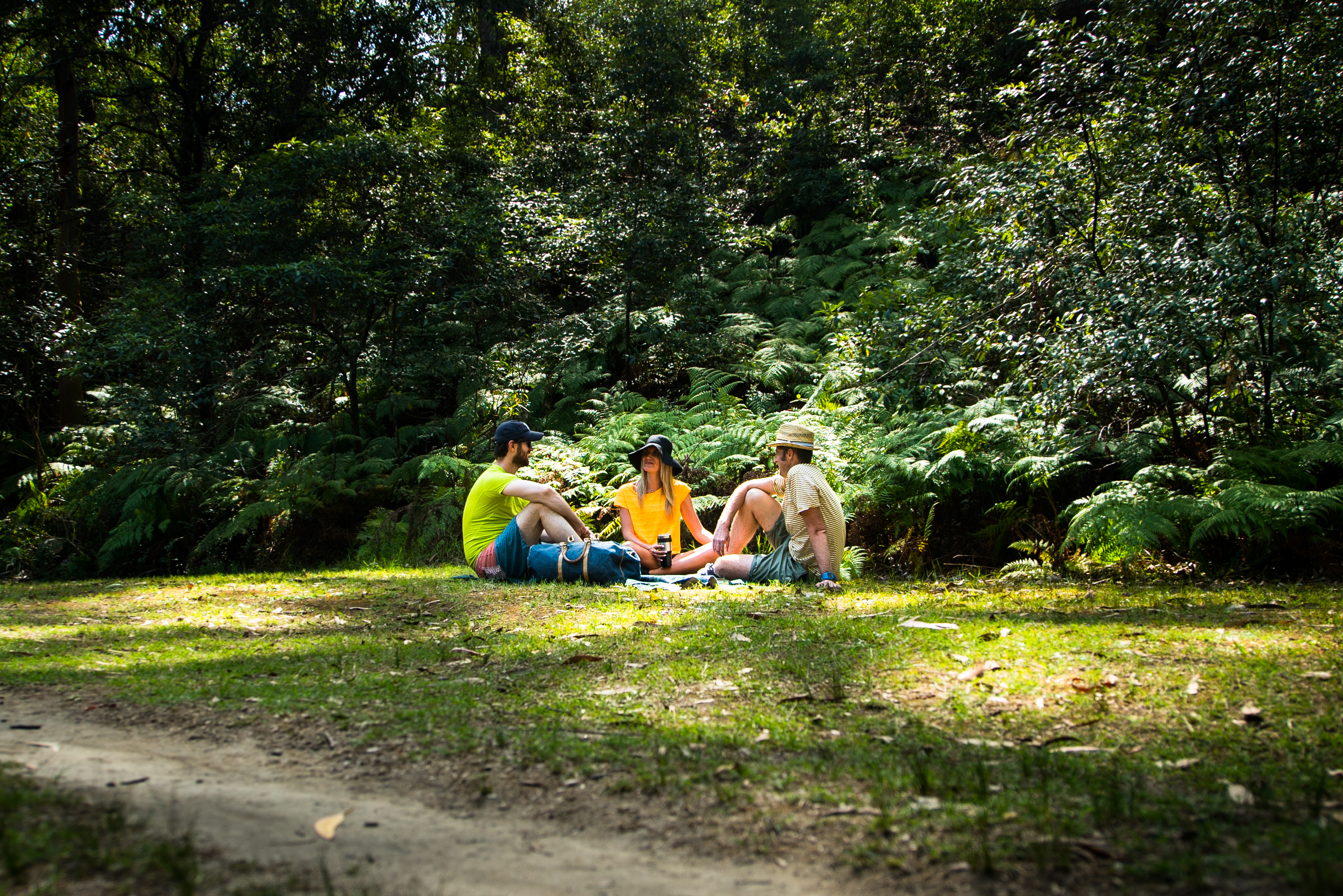 Three people having a picnic in a NSW national park. Photo credit: Daniel Parsons/DPIE