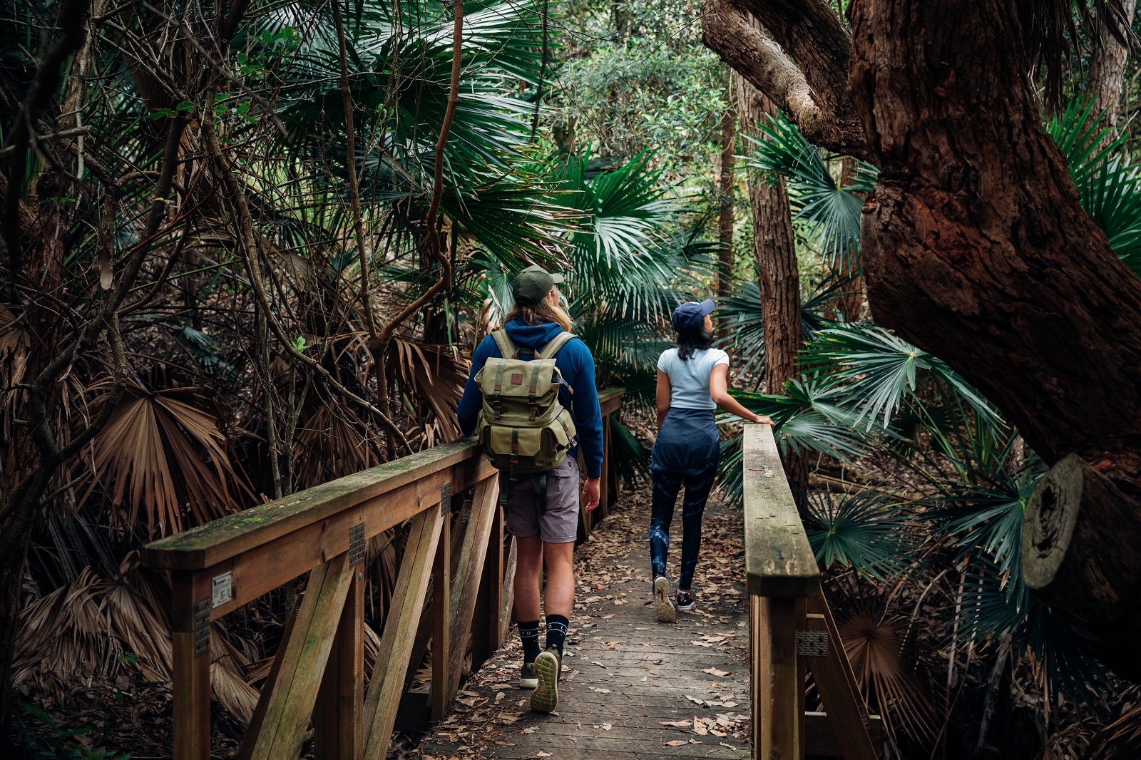 A woman and a man walking across a bridge on the Depot Beach Rainforest walk, Murramarang National Park. Photo credit: Melissa Findley/DPIE