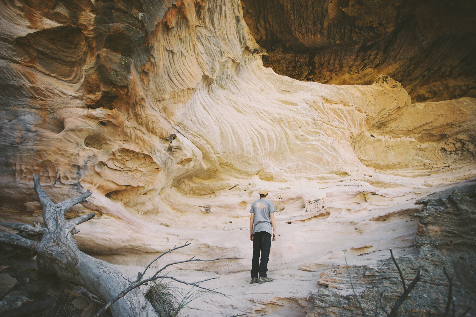 A wild, remote and adventure-ready land of ancient forest: the Pilliga