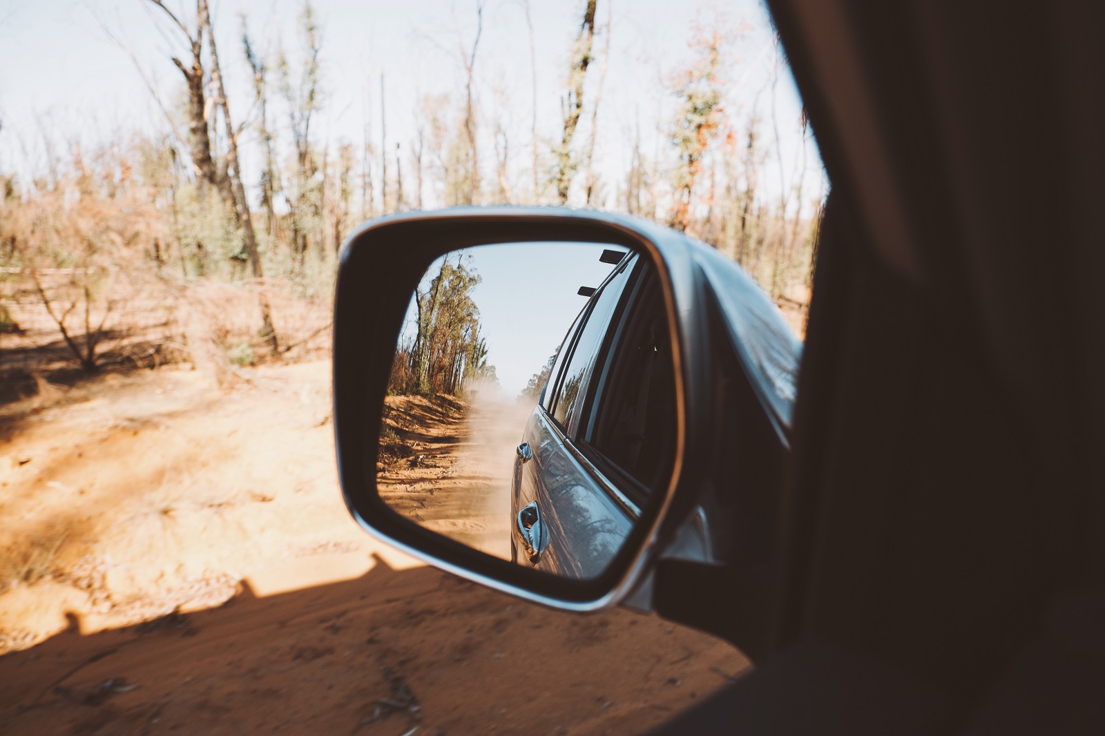 Wing mirror view of the road in Timmallallie National Park. Photo: Harrison Candlin/DCCEEW © Harrison Candlin