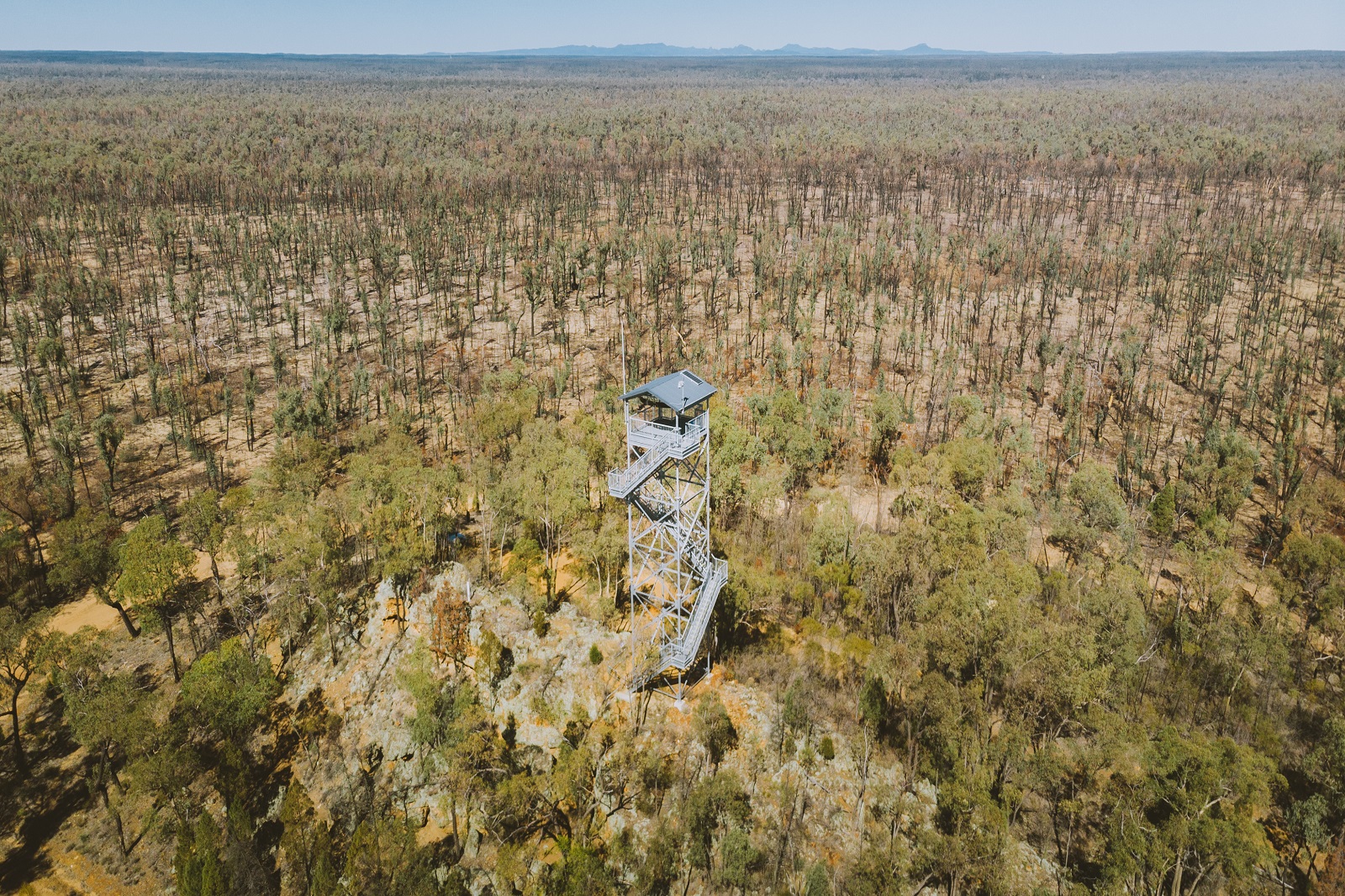 Pilliga lookout tower in Timmallallie National Park. Photo: Harrison Candlin/DCCEEW © Harrison Candlin