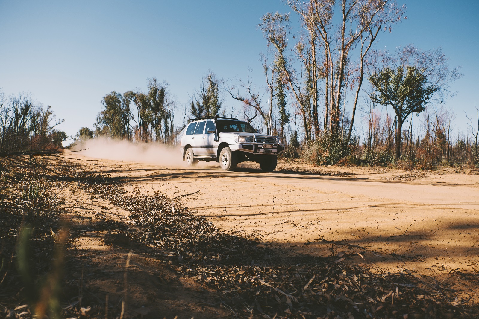 A car on the road in Timmallallie National Park. Photo: Harrison Candlin/DCCEEW © Harrison Candlin