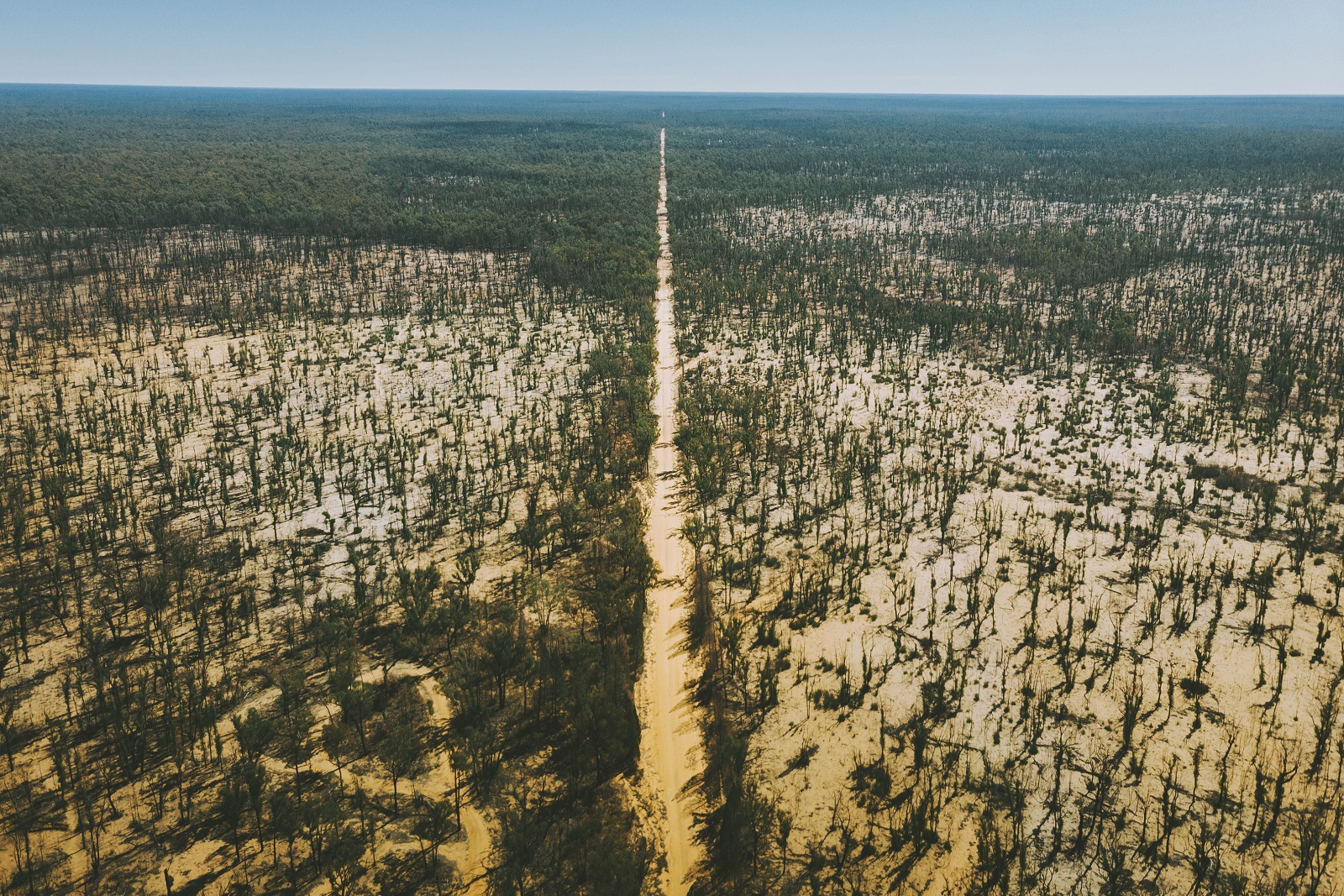 Aerial view of the road at Timmallallie National Park. Photo: Harrison Candlin/DCCEEW © Harrison Candlin