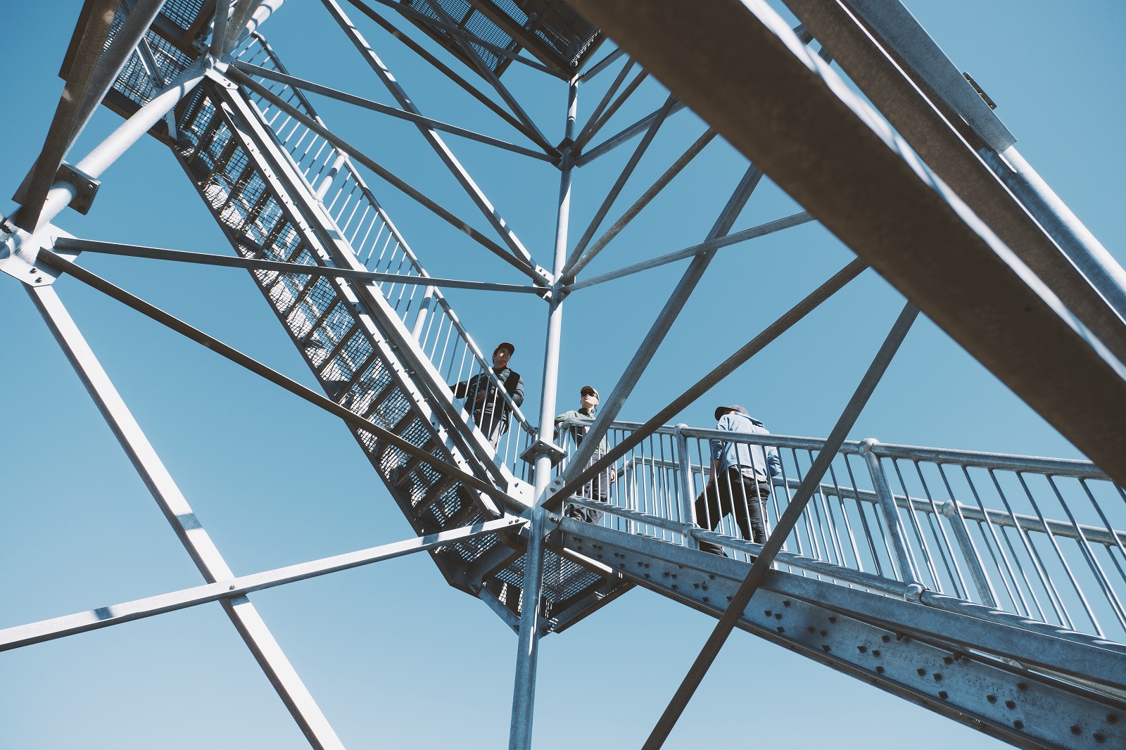 Pilliga lookout tower in Timmallallie National Park. Photo: Harrison Candlin/DCCEEW © Harrison Candlin