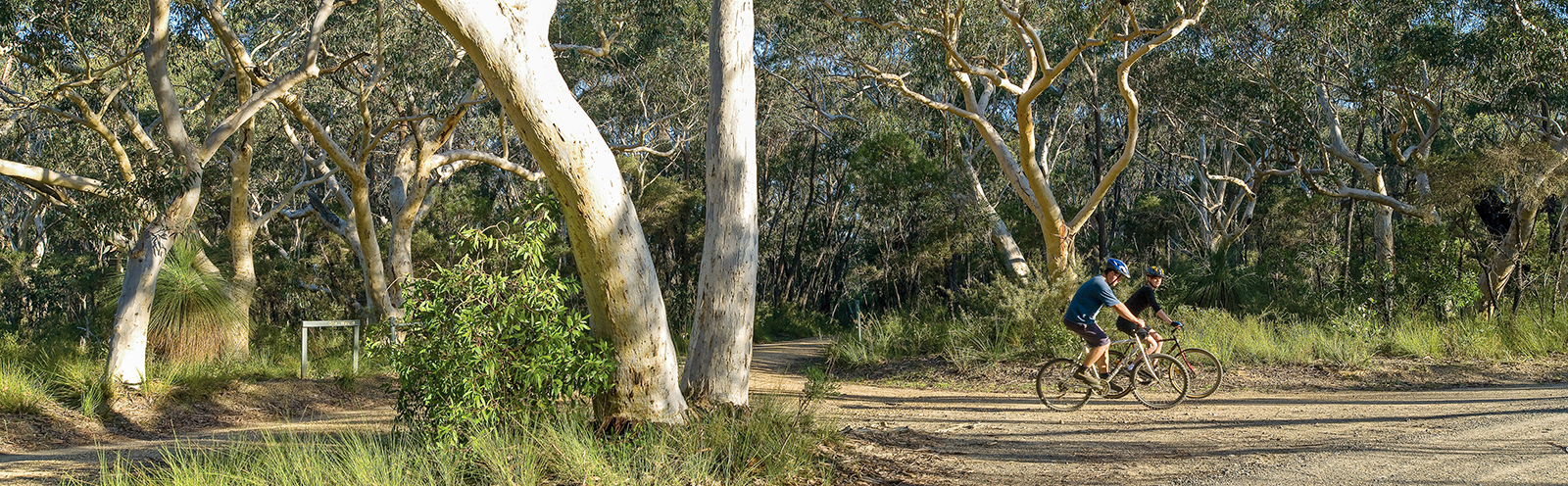 Two guys cycling on the Bundanoon cycling route, Morton National Park. Photo credit: Michael Van Ewijk/DPIE