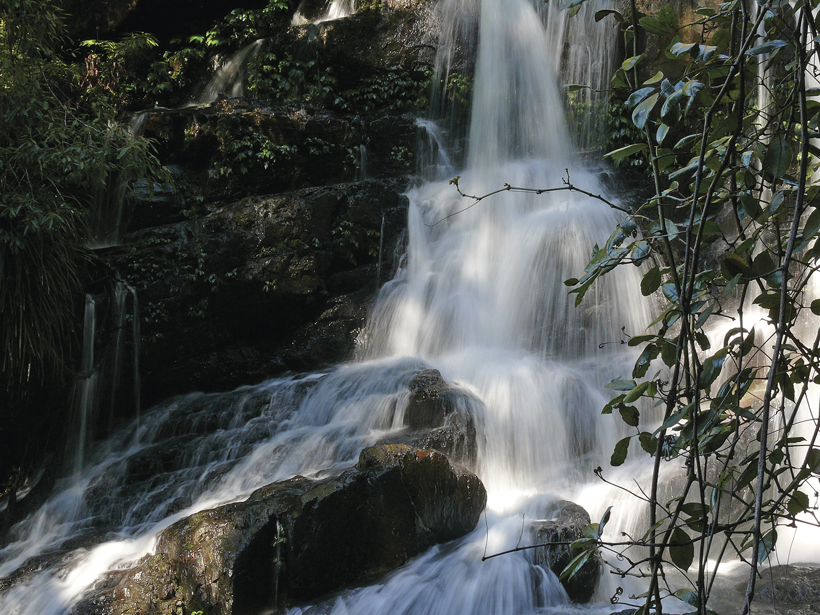 Bangalore Falls walking track, Bindarri National Park. Photo credit: Helen Clark/DPIE