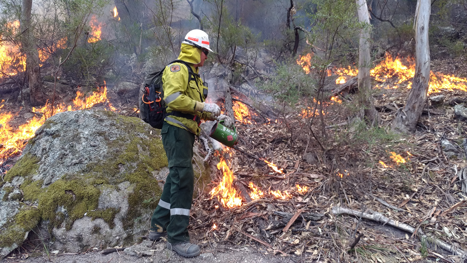 NPWS firefighter conducting planned controlled burning to assist in the protection of life, property and community. Photo credit: David Croft/DPIE