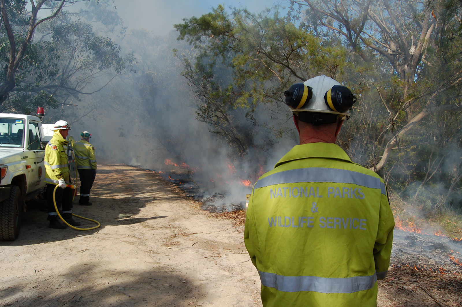 NPWS firefighters conducting planned controlled burning in Brisbane Water National Park. Photo credit: Susan Davis/DPIE