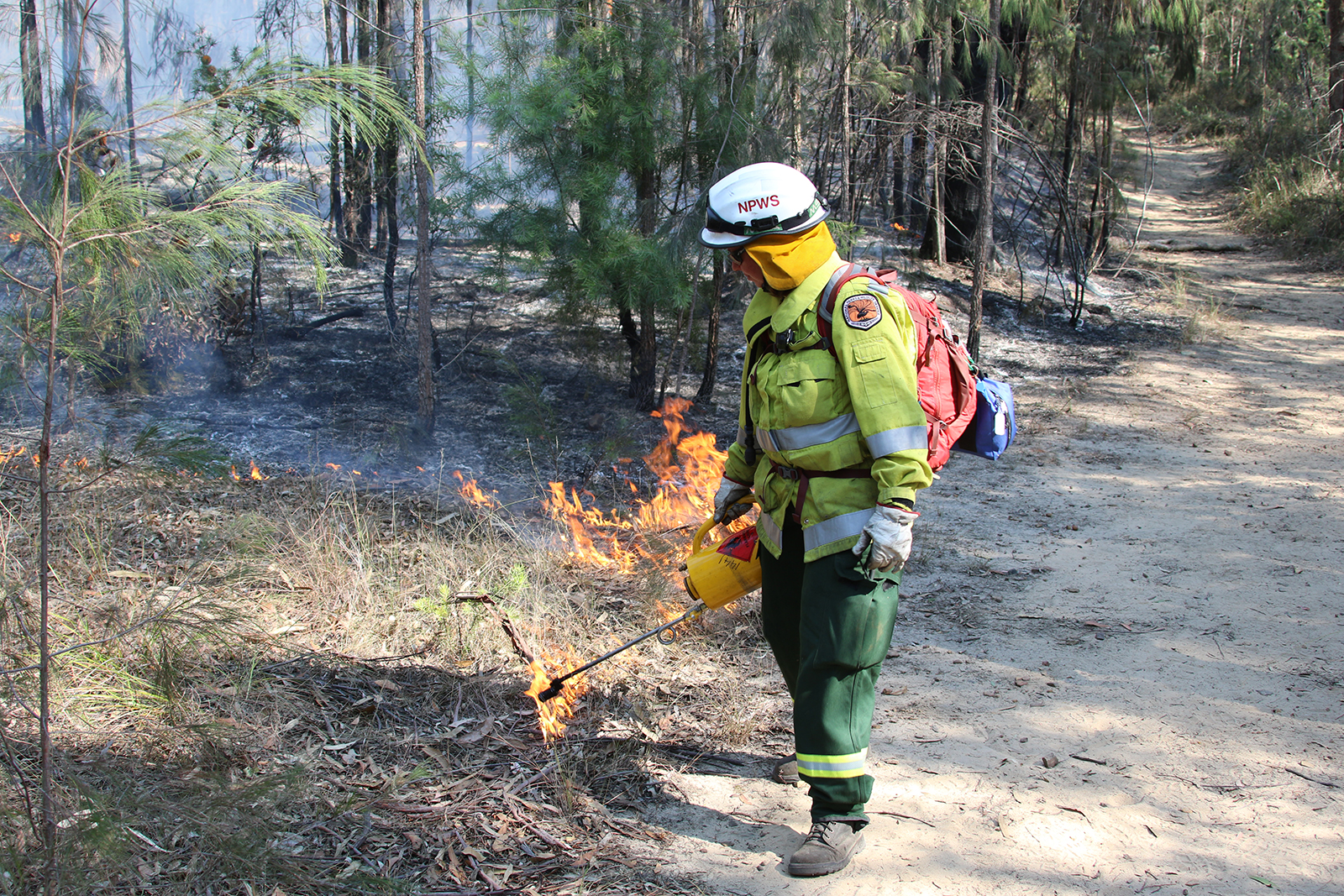 A firefighter undertaking a hazard reduction burn in Blue Mountains National Park. Photo credit: David Croft/DPIE