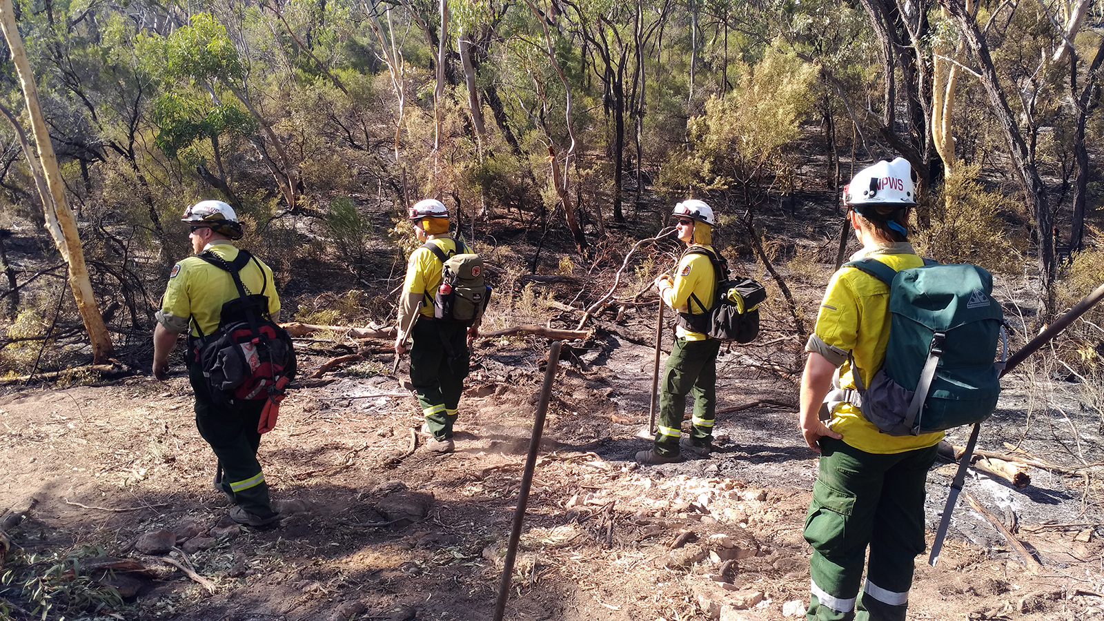 Four remote firefighters in rugged terrain and use dry firefighting techniques to suppress bushfires. Photo credit: David Croft/DPIE