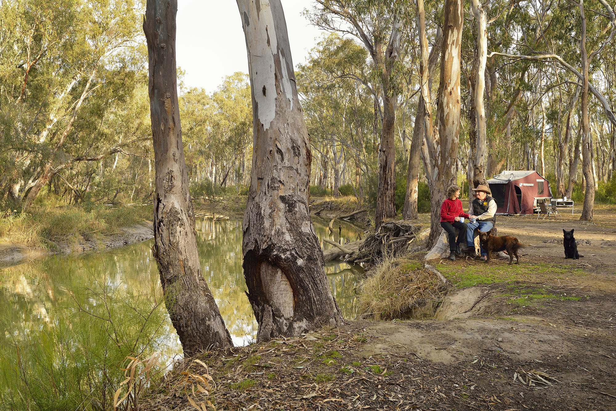 Edward River Bridge campgound, Murray Valley National Park. Photo credit: DPIE