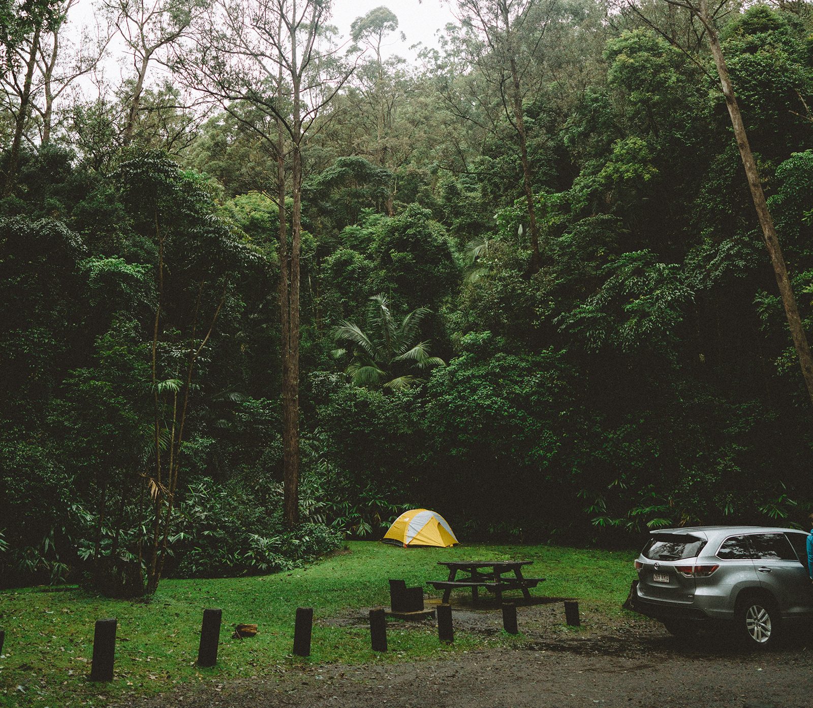 Sheepstation Creek campground, Border Ranges National Park. Photo credit: Branden Bodman/DPIE