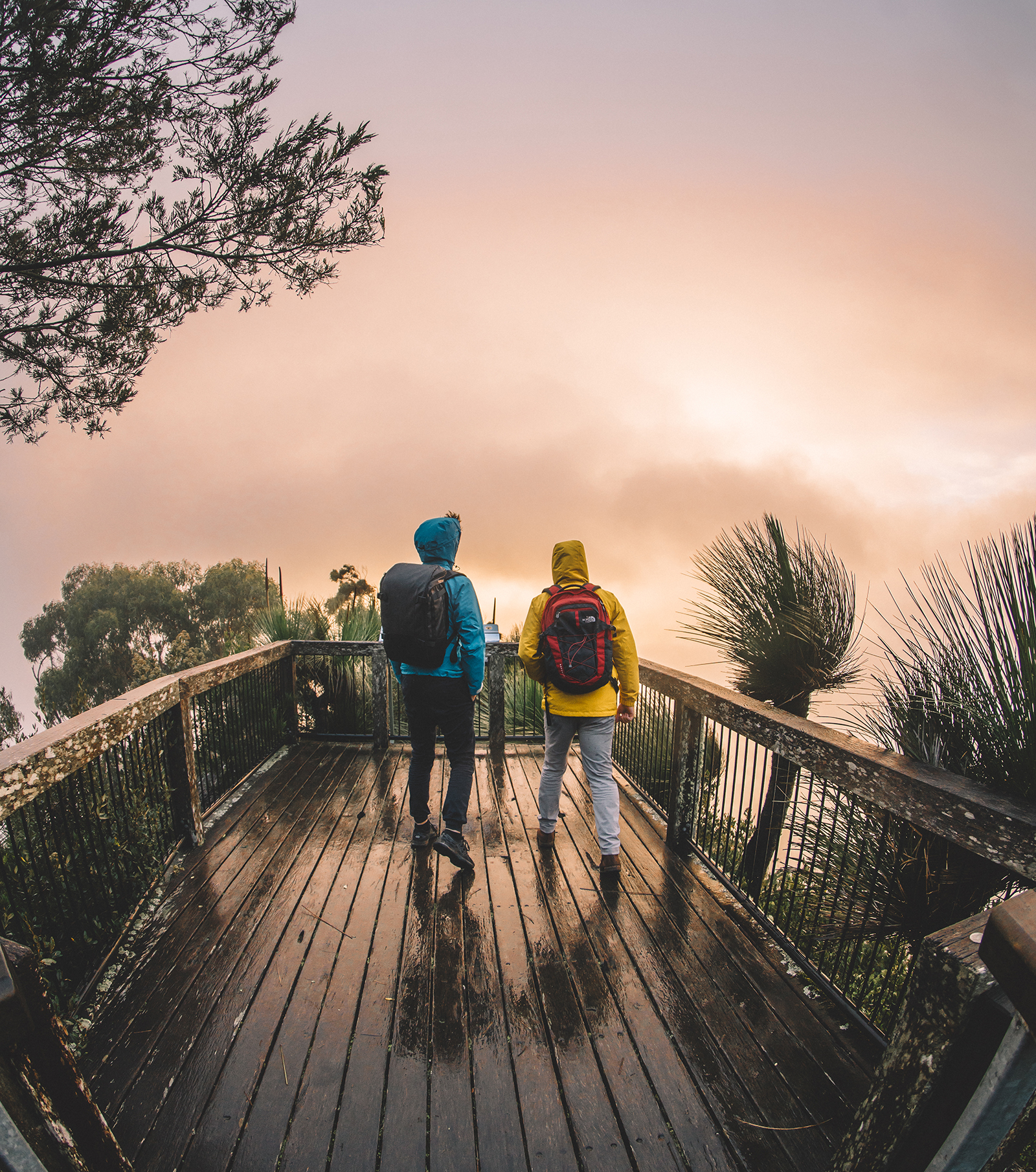 Two guys at the Pinnacle lookout in Border Rangers National Park. Photo credit: Branden Bodman/DPIE
