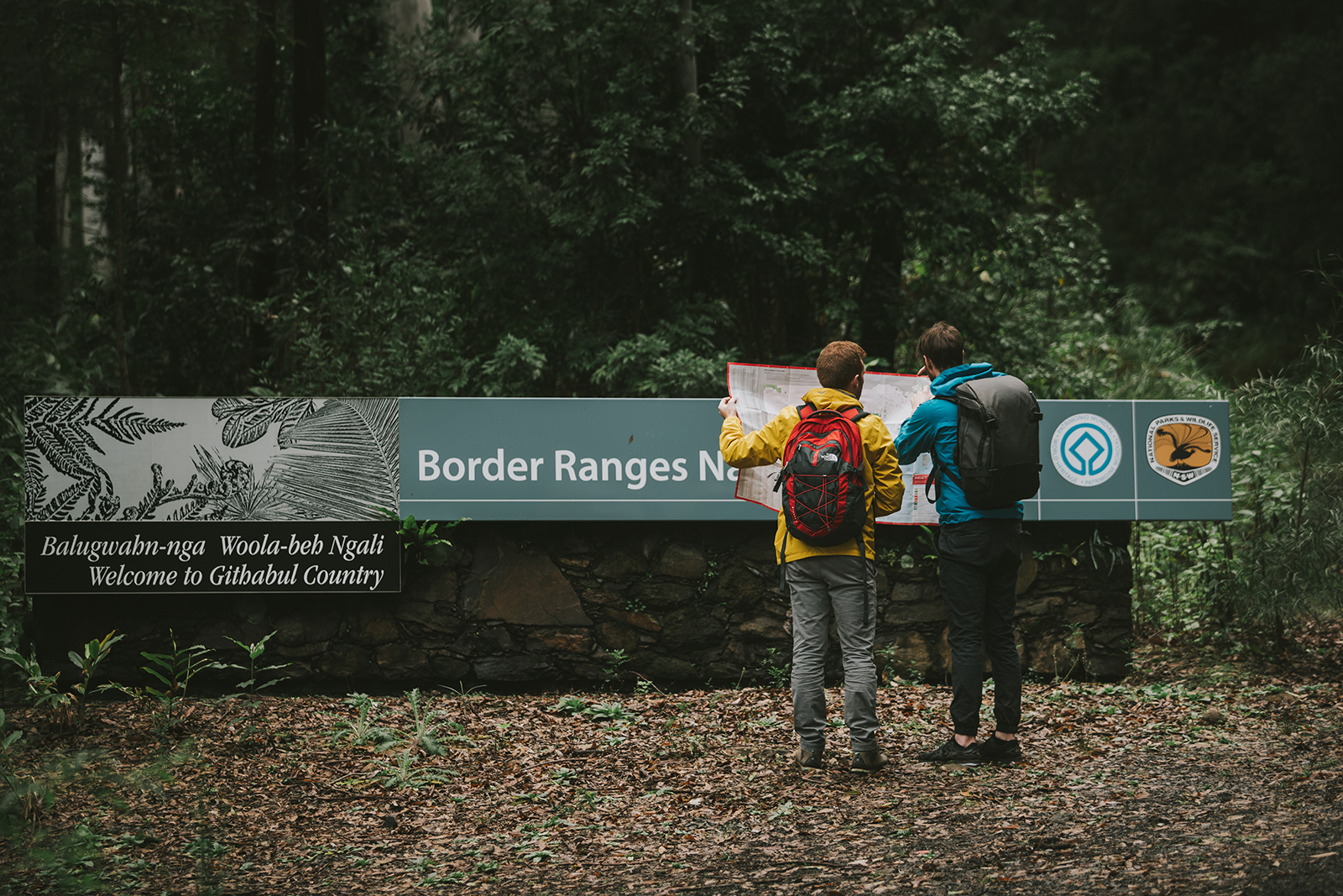 Two males looking at a typographic map infront of the Border Ranges National park sign in Border Rangers National Park. Photo credit: Branden Bodman/DPIE