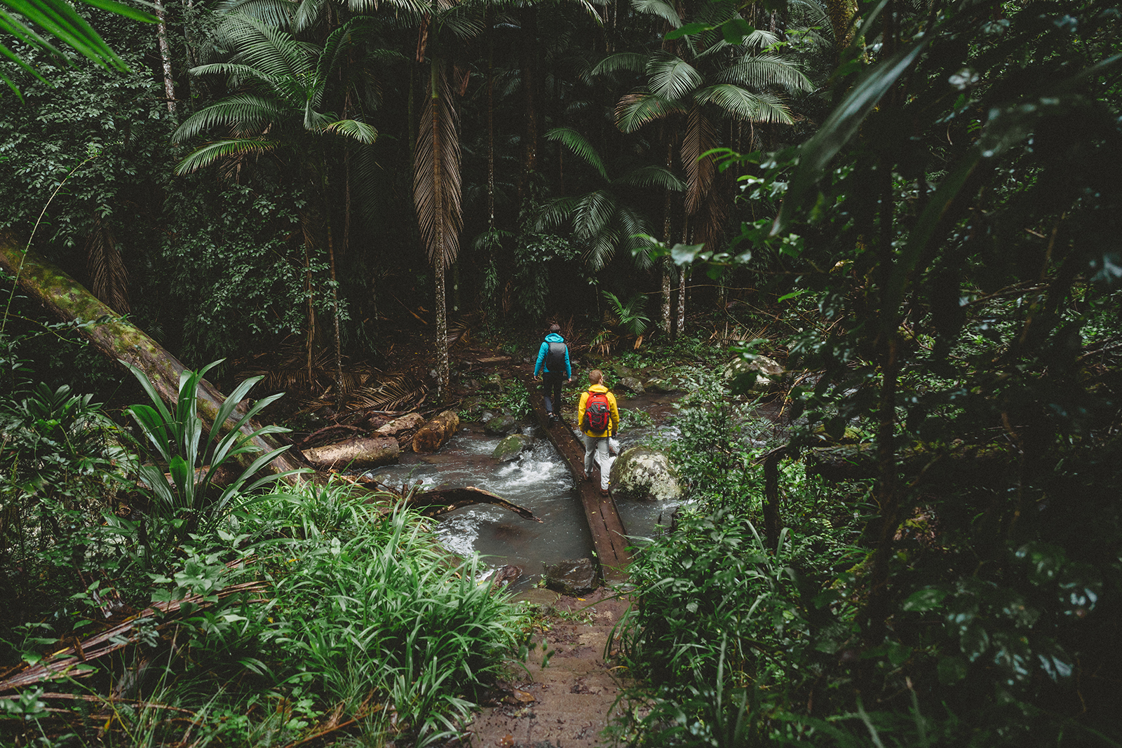 Explore a real-life Jurassic Park (without the dinosaurs)