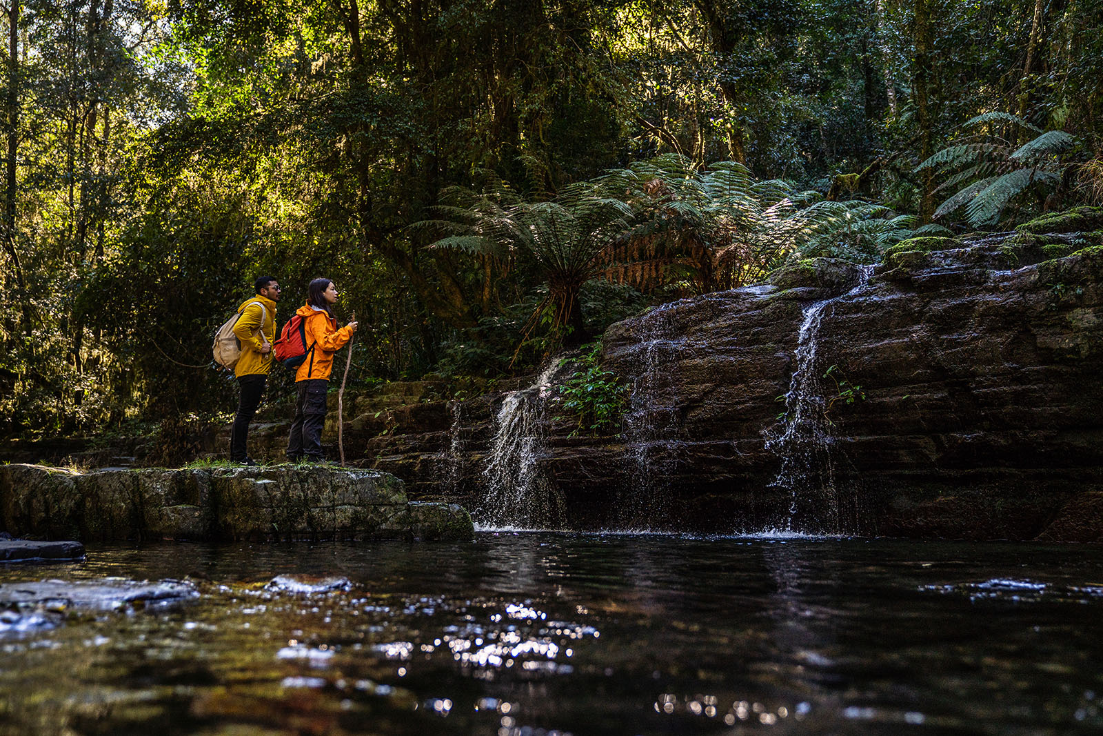 Two people looking at Gloucester Falls, Barrington Tops National Park. Photo credit: Rob Mulally/DPIE