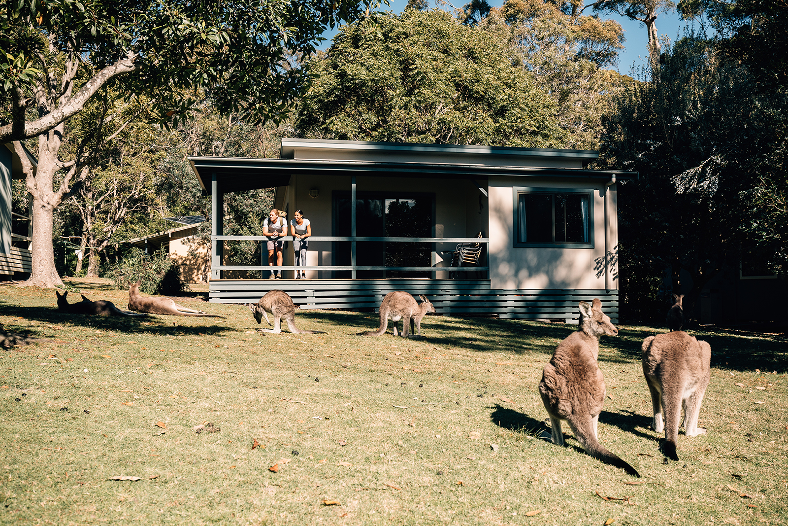 A couple looking at the kangaroos from the Depot Beach cabins, Murramarang National Park. Photo credit: Melissa Findley/DPIE