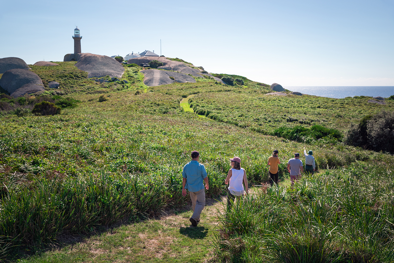 Four people on a walk towards the Montague Island Lighthouse, Montague Island Nature Reserve. Photo credit: Daniel Tran/DPIE