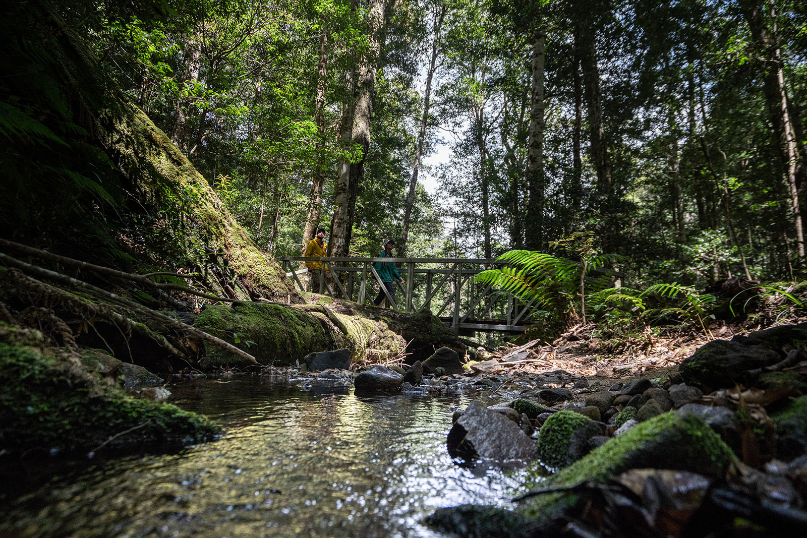 Two people walking over a river crossing bridge at Werrimkimbe National Park. Photo credit: Rob Mulally/DPIE