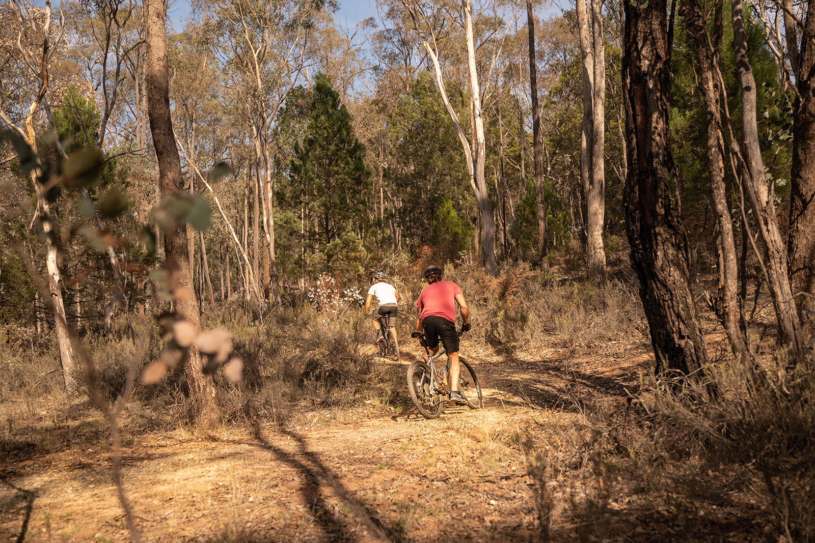 Two people mountain biking on the Livingstone loop track, Livingstone National Park. Photo credit: Rob Mulally/DPIE