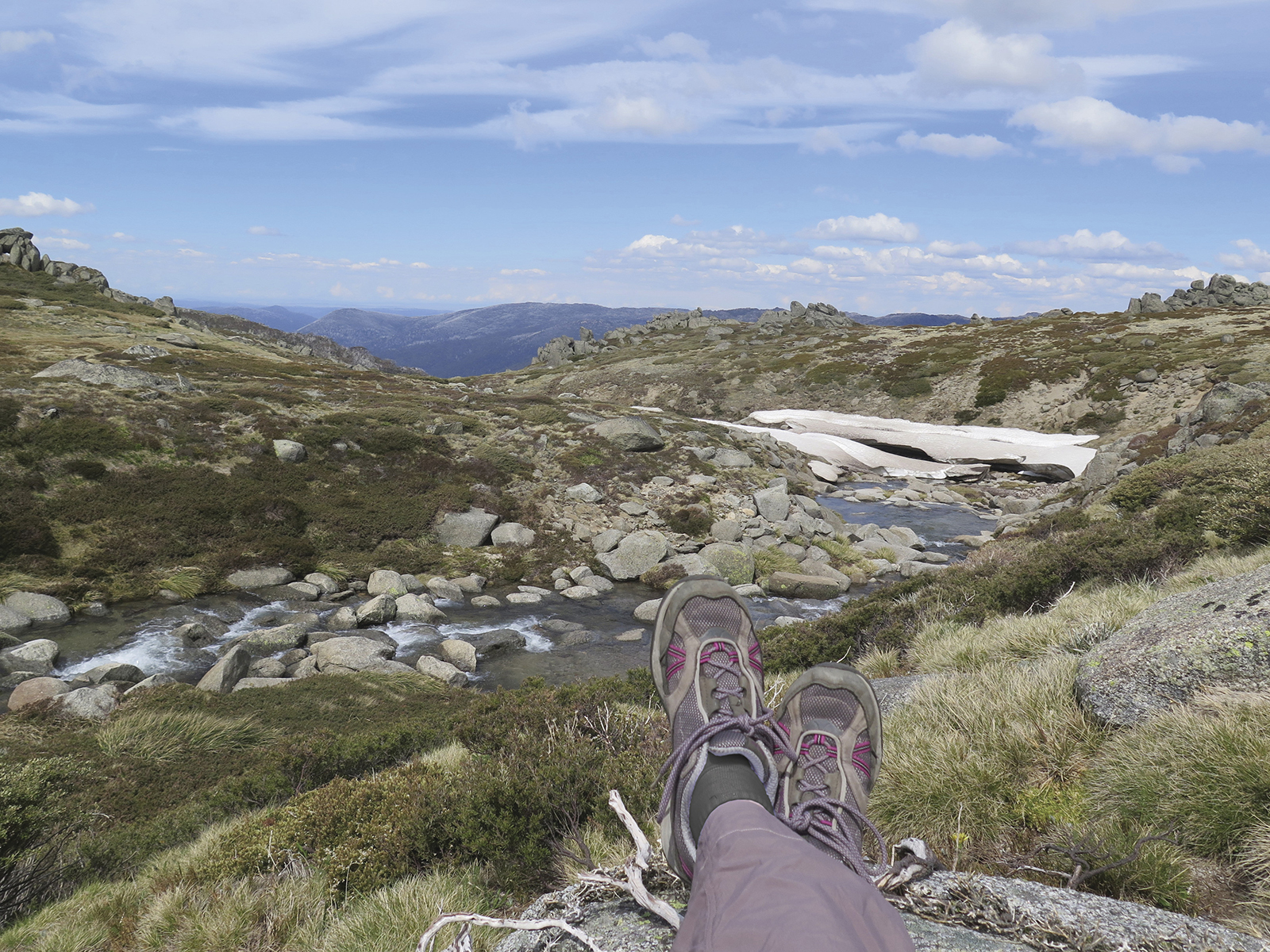 Alpine stream along the Kosciuszko walk - Thredbo to Mount Kosciuszko, Thredbo-Perisher area in Kosciuszko National Park. Photo: Elinor Sheargold/DPIE