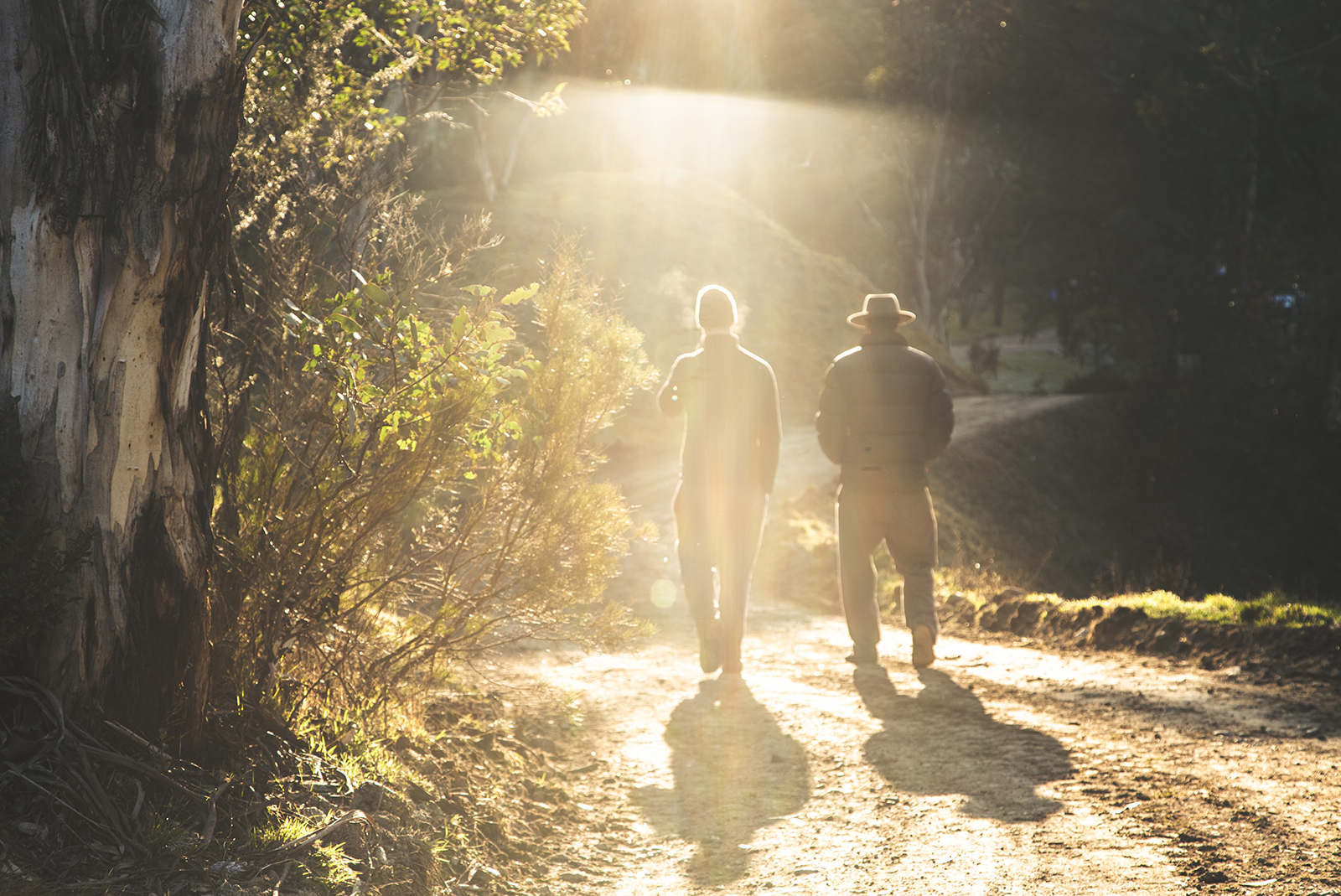 Two people walking along a road in Kosciuszko National Park. Photo credit: Daniel Parsons/DPIE